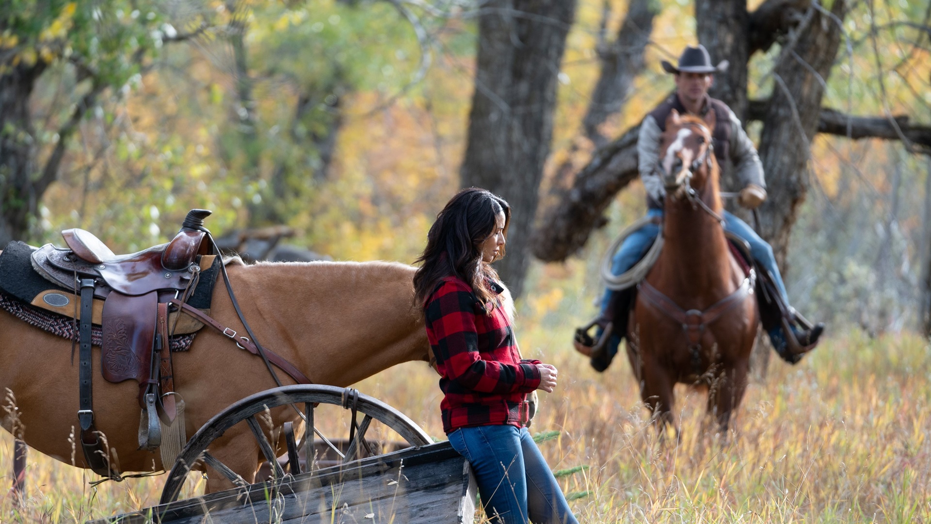 Season 12 Finale: 1211 - Room To Grow