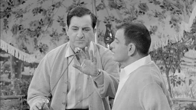 Peaceful Co-Existence