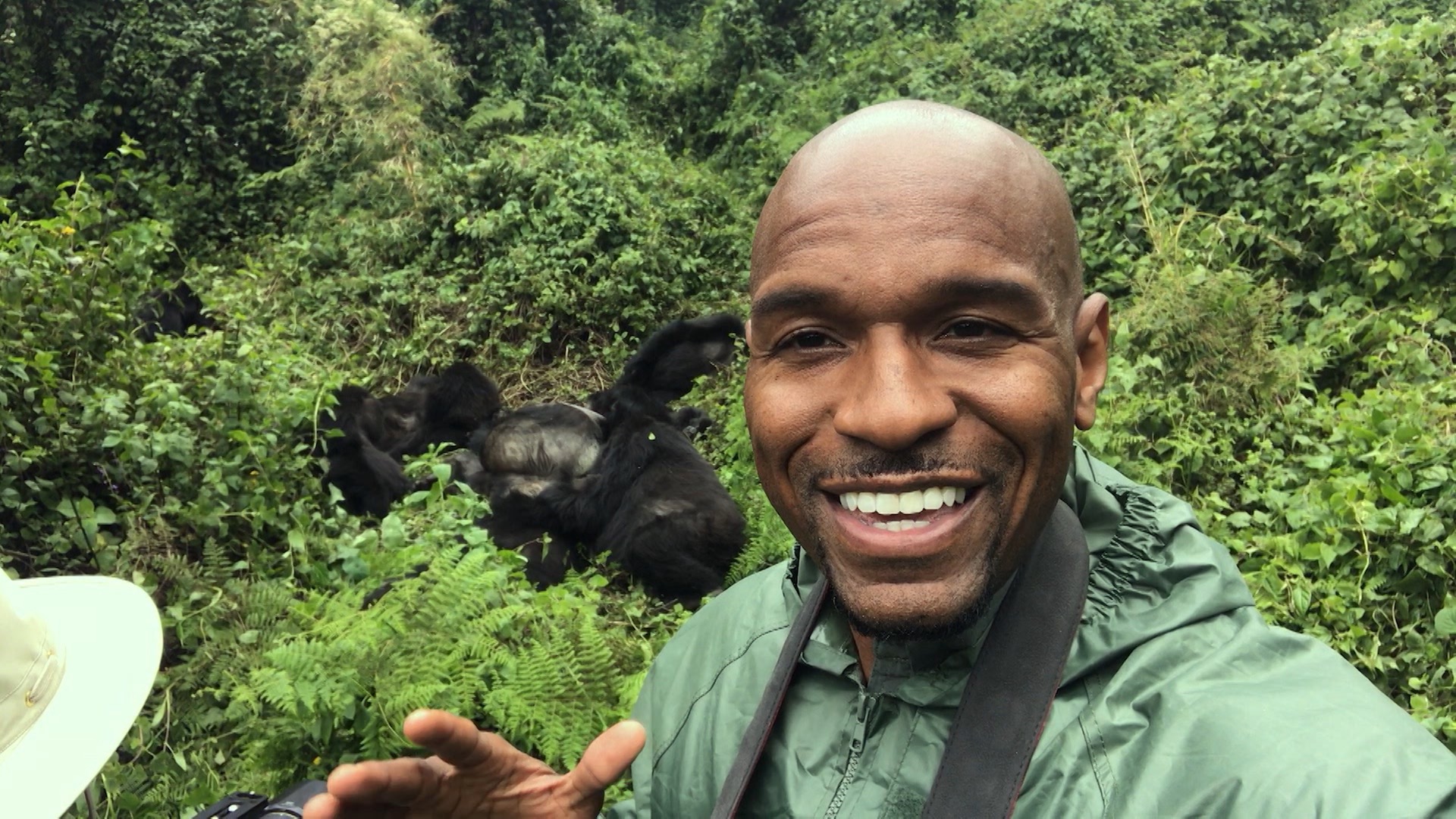 Rwanda: Gorilla Trekking