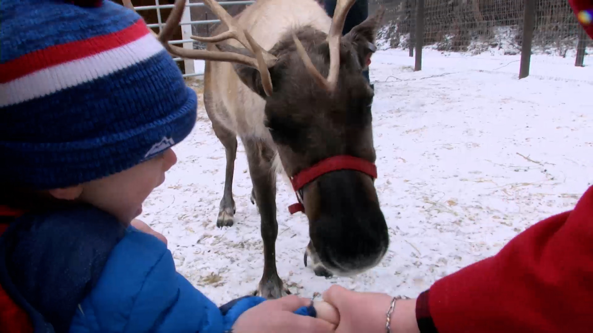 Small Town, Big Deal: 507