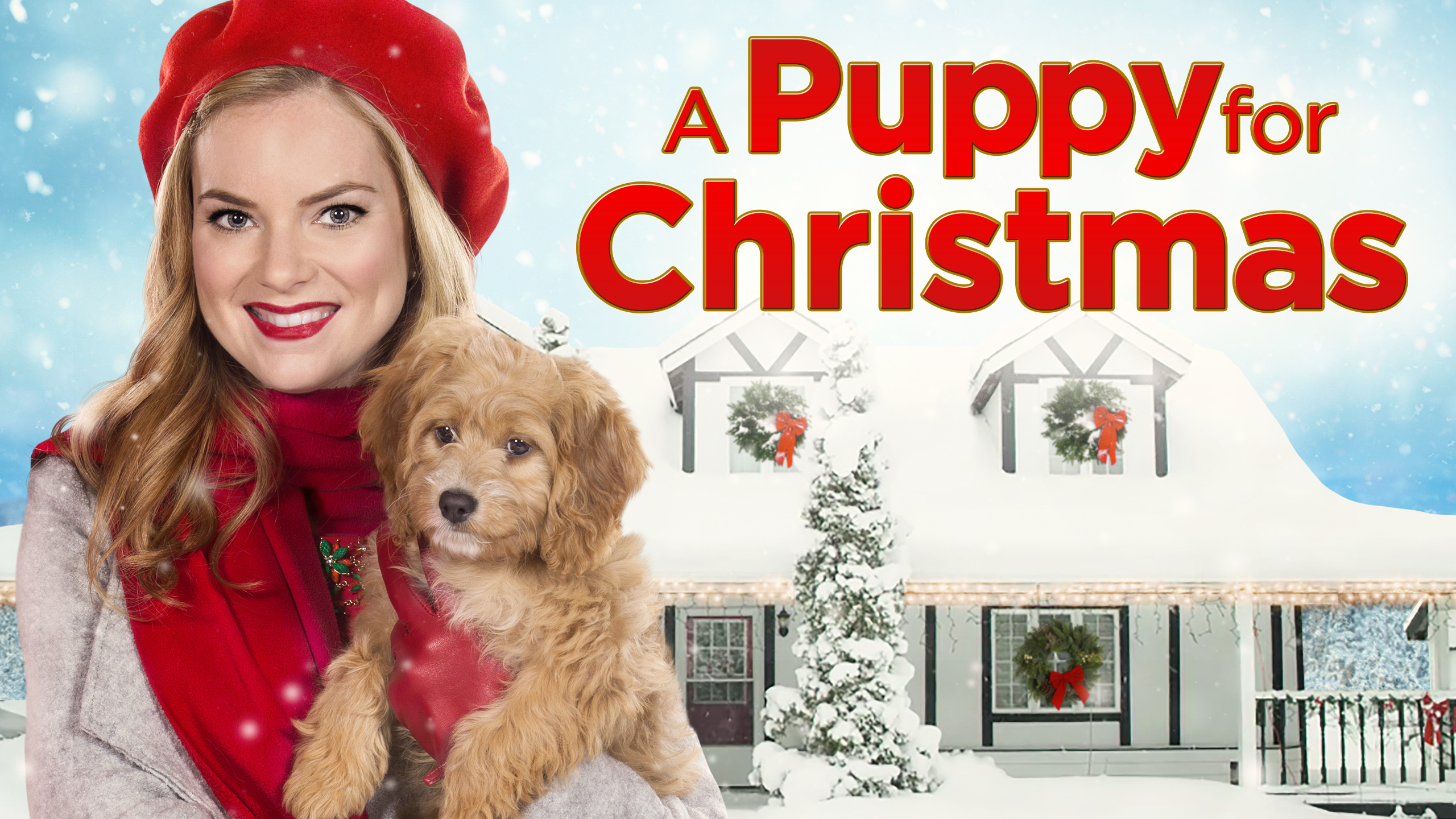 A Puppy for Christmas