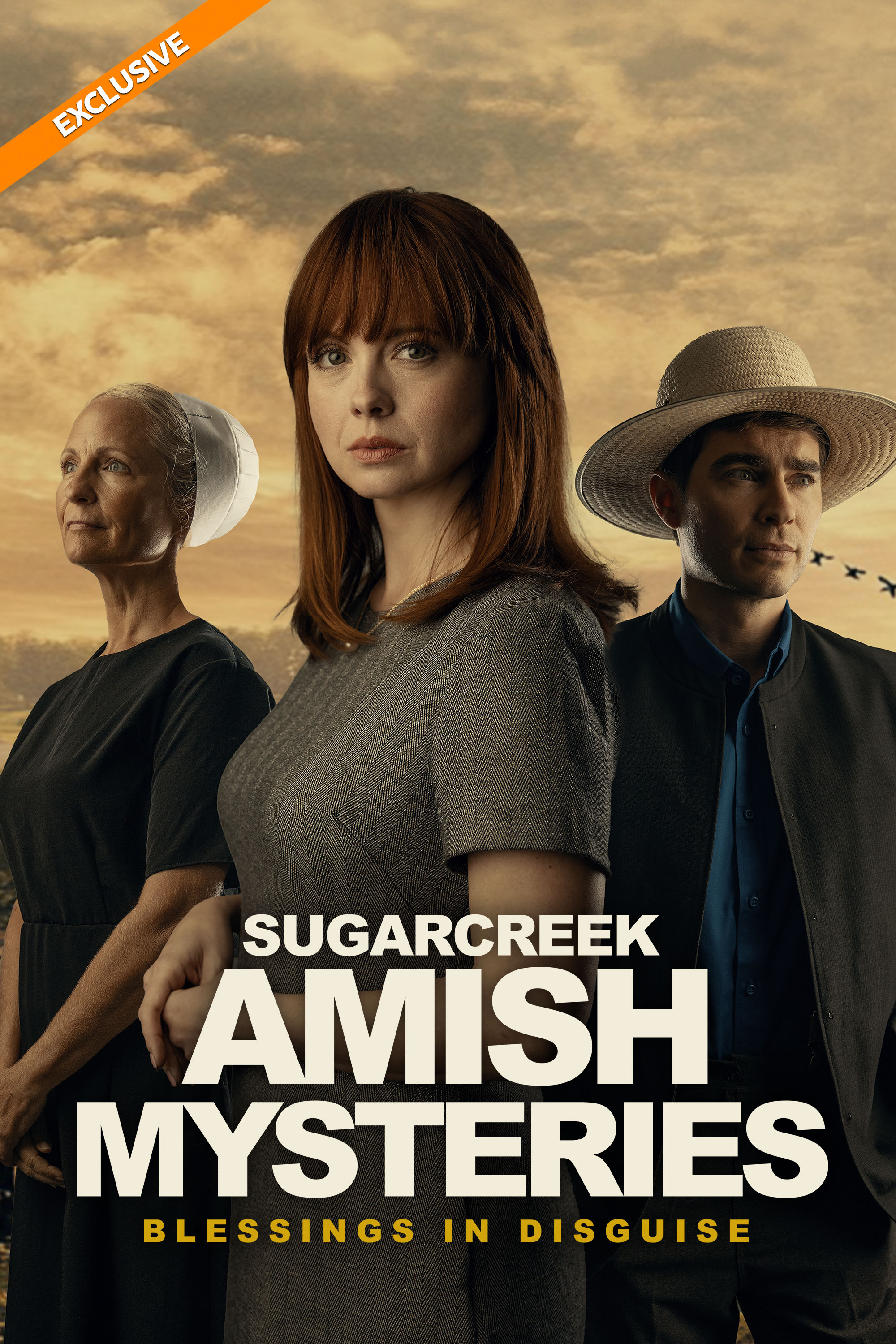 Sugarcreek Amish Mysteries: Blessings in Disguise