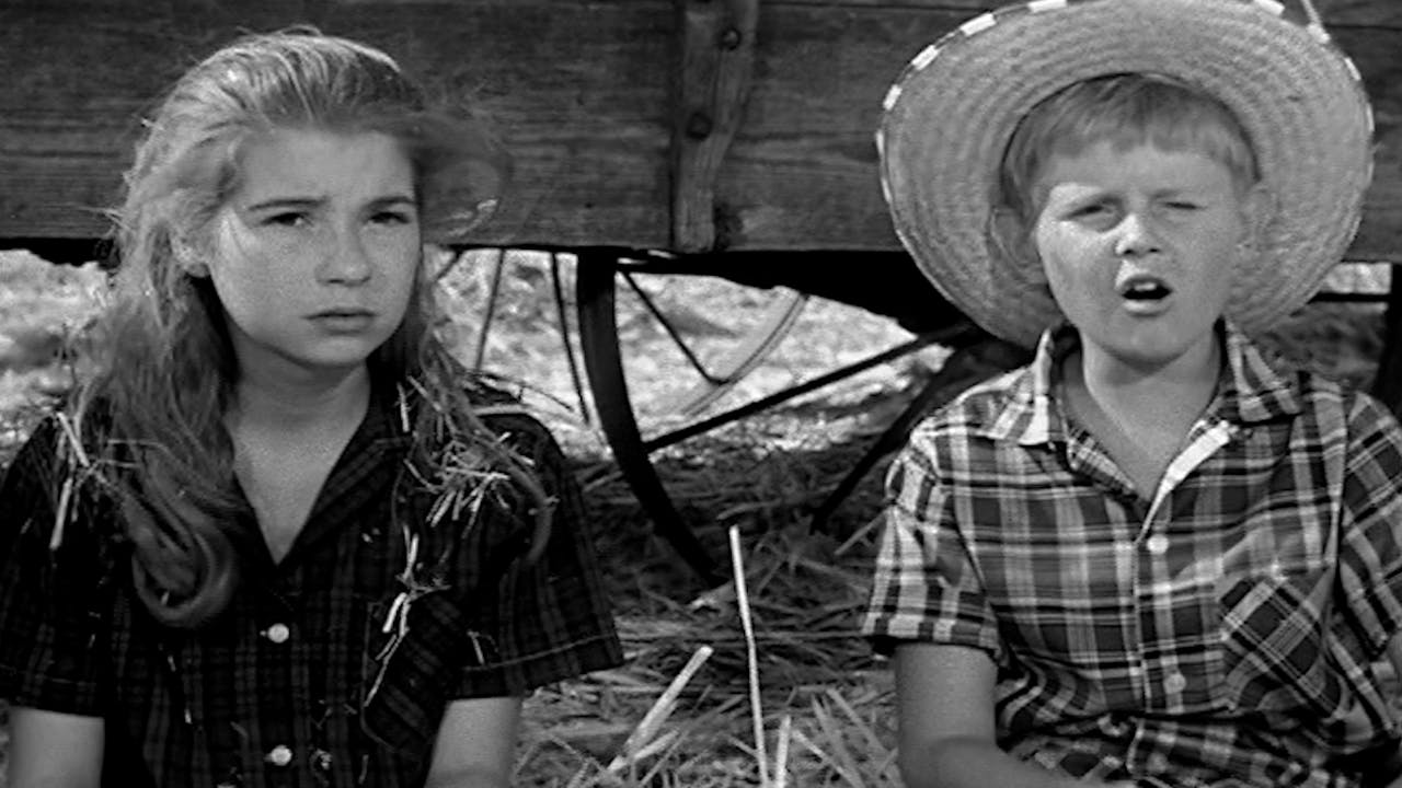 A Question of Discipline The Real McCoys Season 1 UP Faith and Family