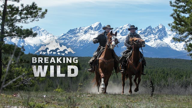 Coming Soon - Breaking Wild (November...