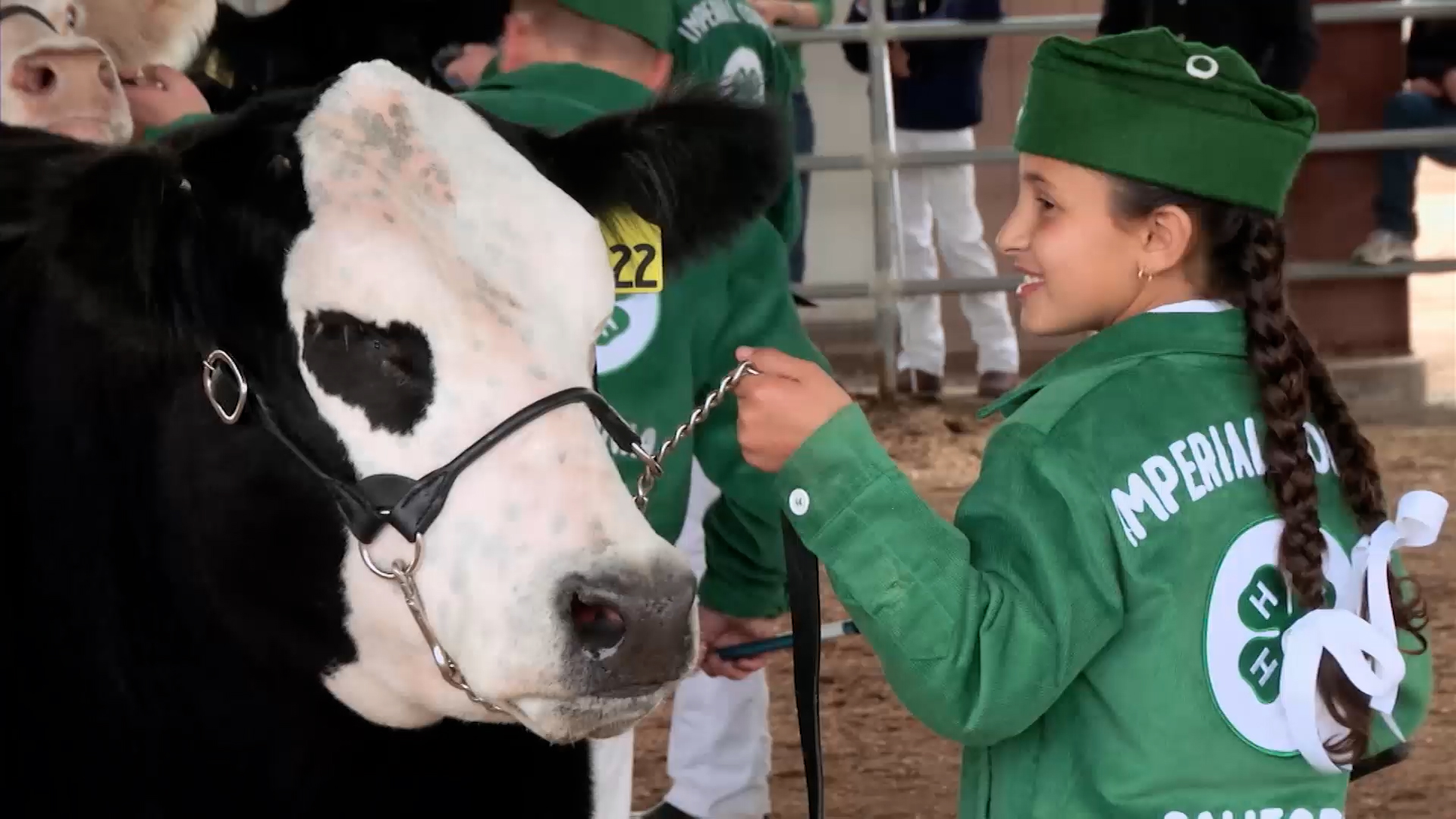 Small Town, Big Deal: 716