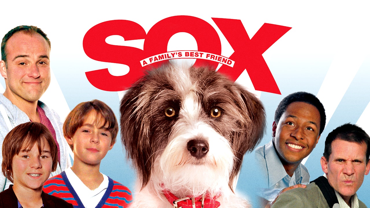 Sox: A Friend's Best Friend