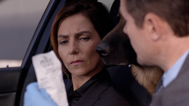 210 - The French Connection