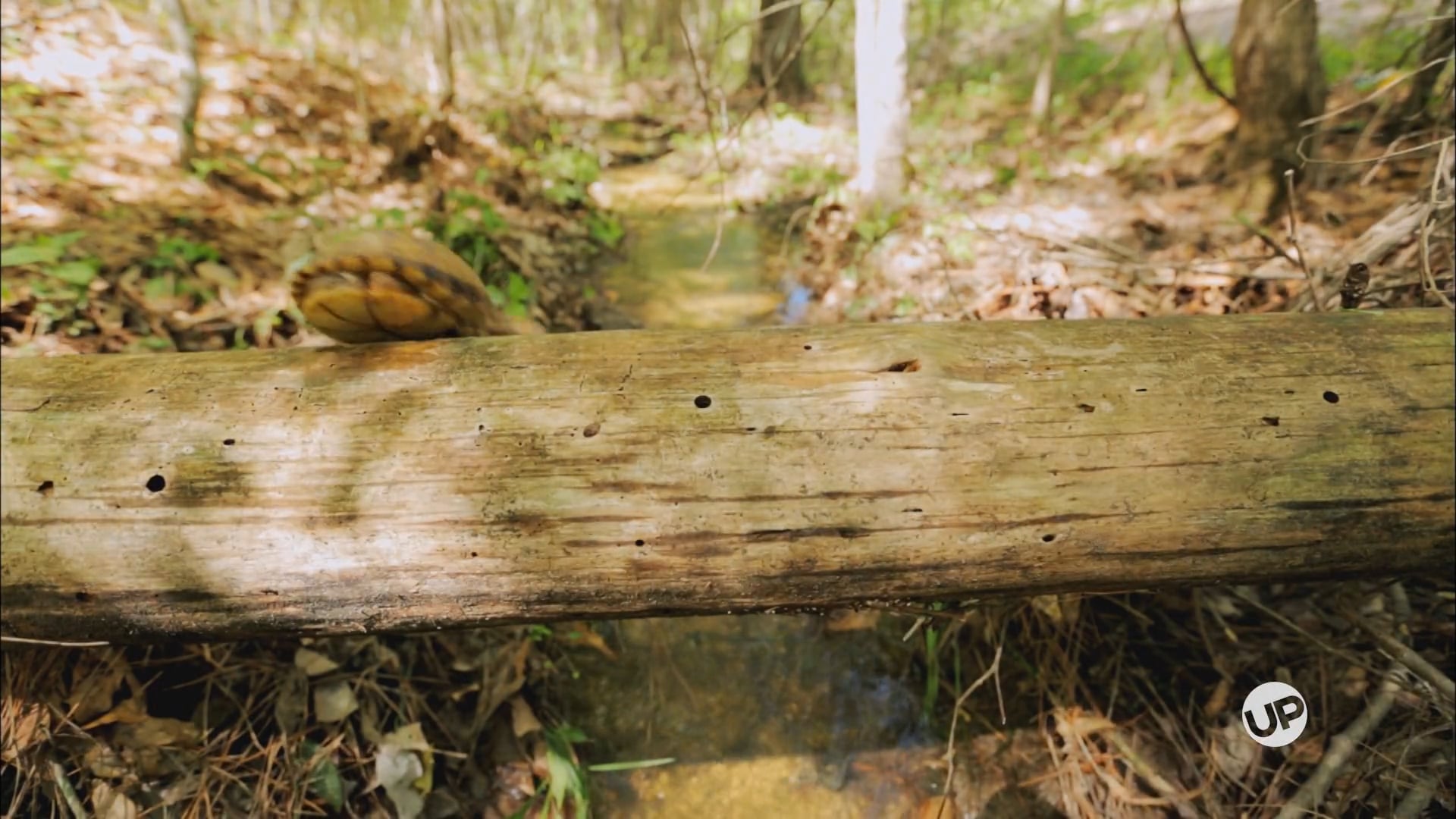 Point No. 51: Recruit New Firefighters