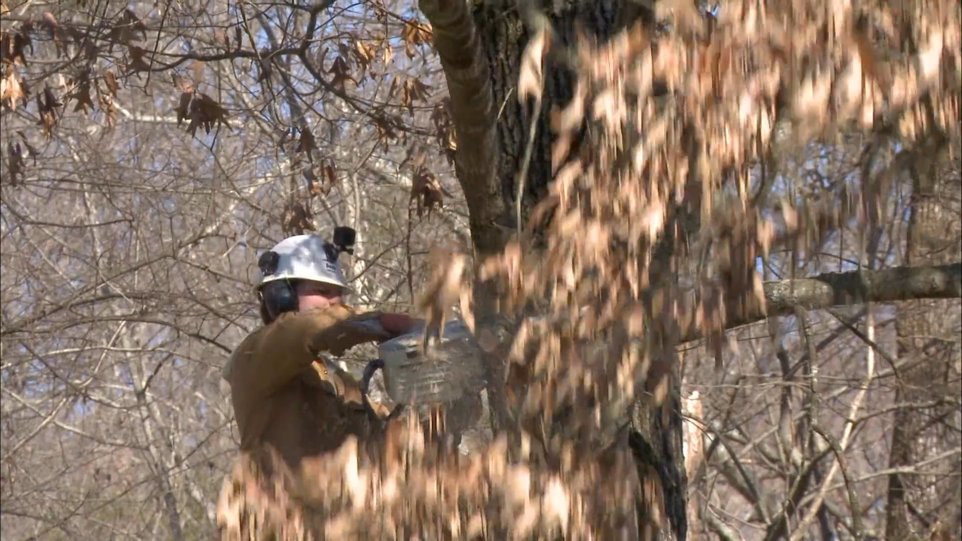 Big Family, Big Changes