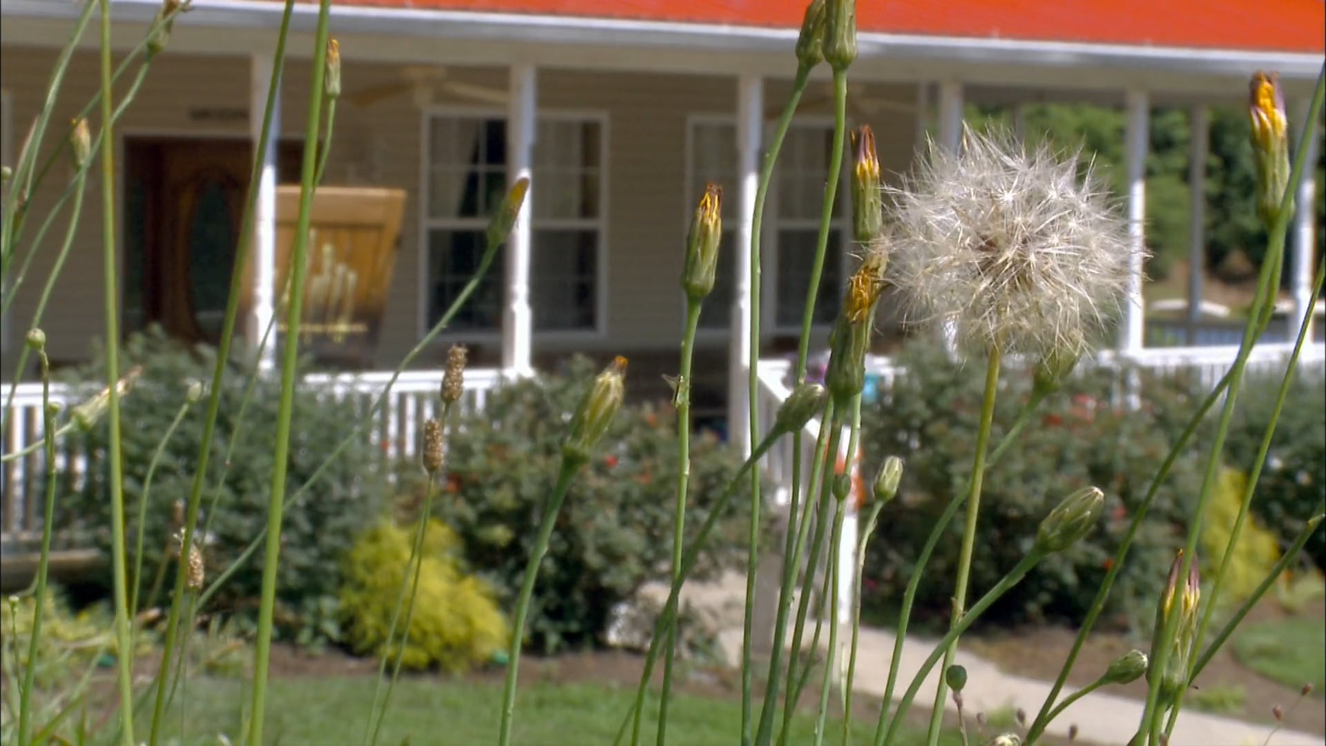 The Fabulous Backwoods Bates Boys