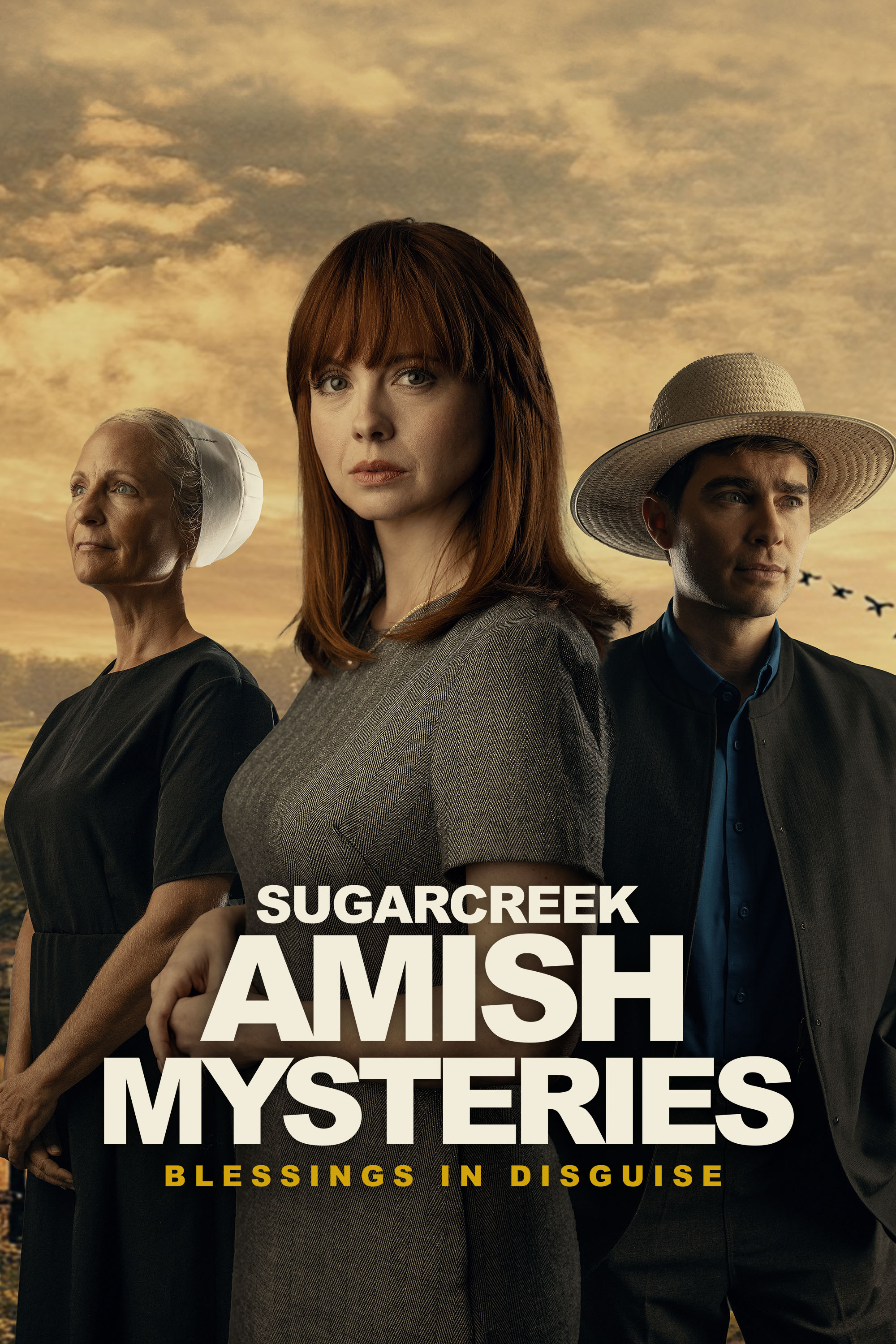 Sugarcreek Amish Mysteries: Blessings in Disguise