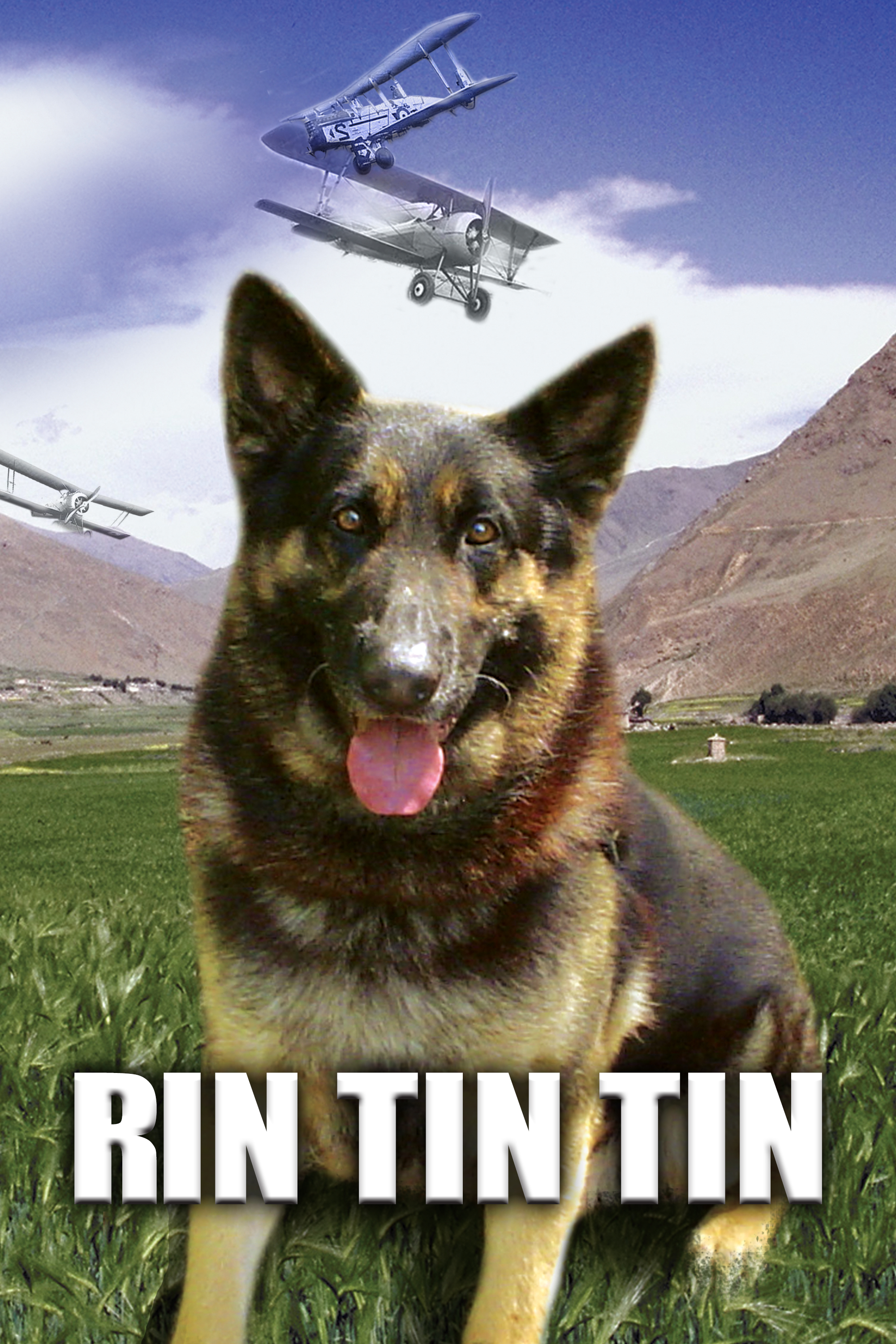 Finding Rin Tin Tin