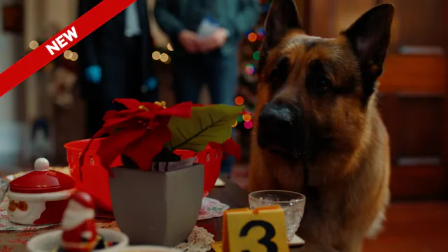 813 - Heist For The Holidays Part 1