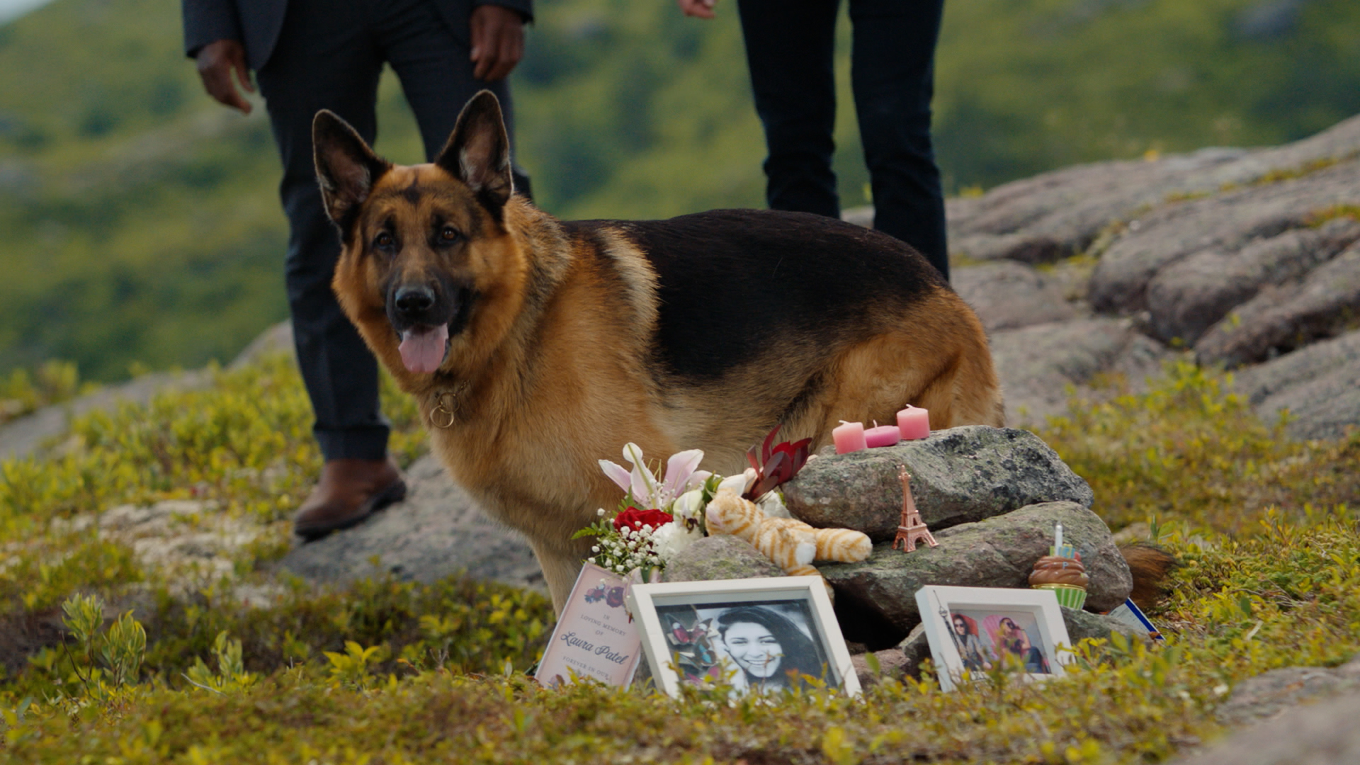 306 - Endless Summer