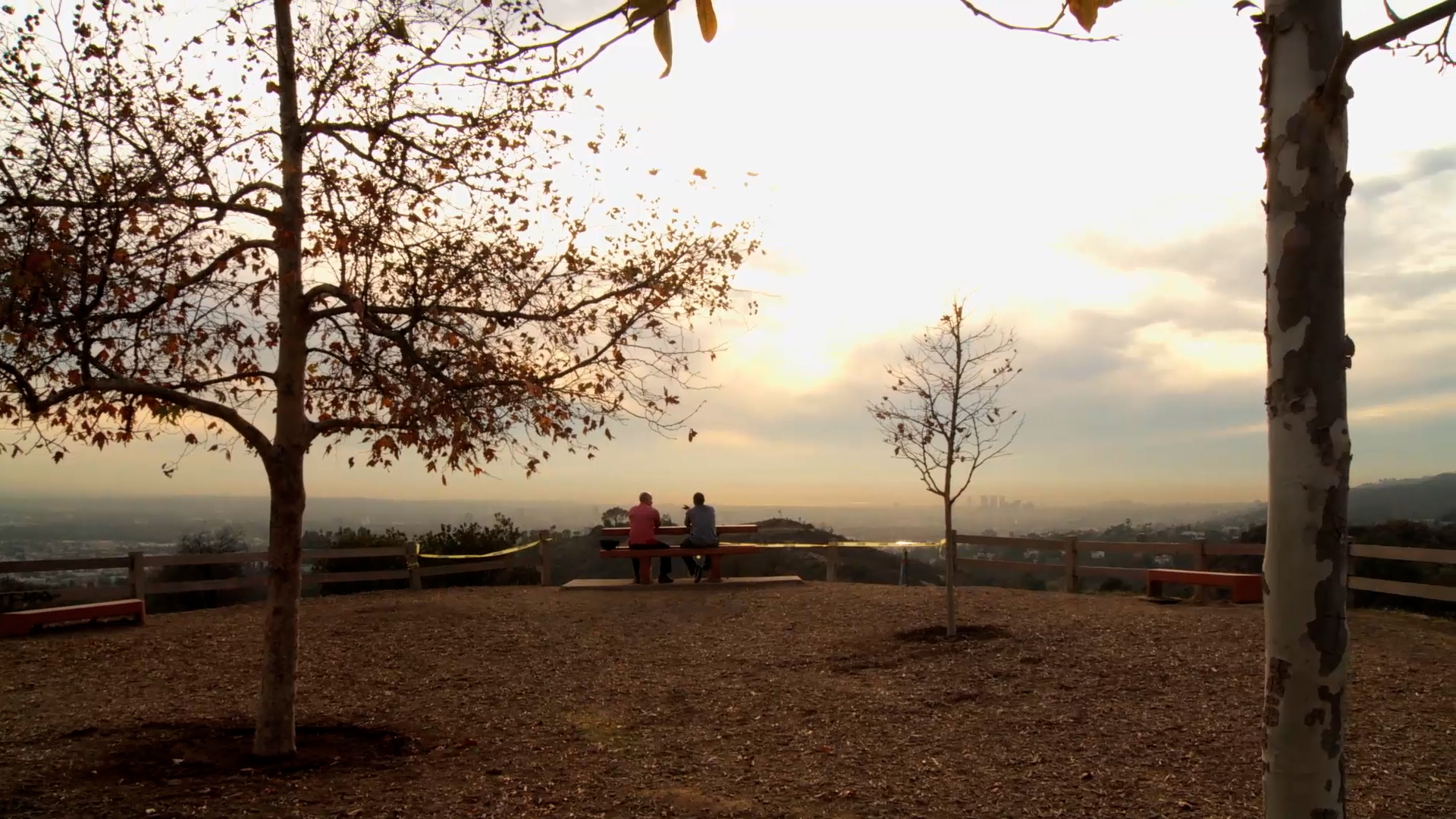 The Gift of Gratitude