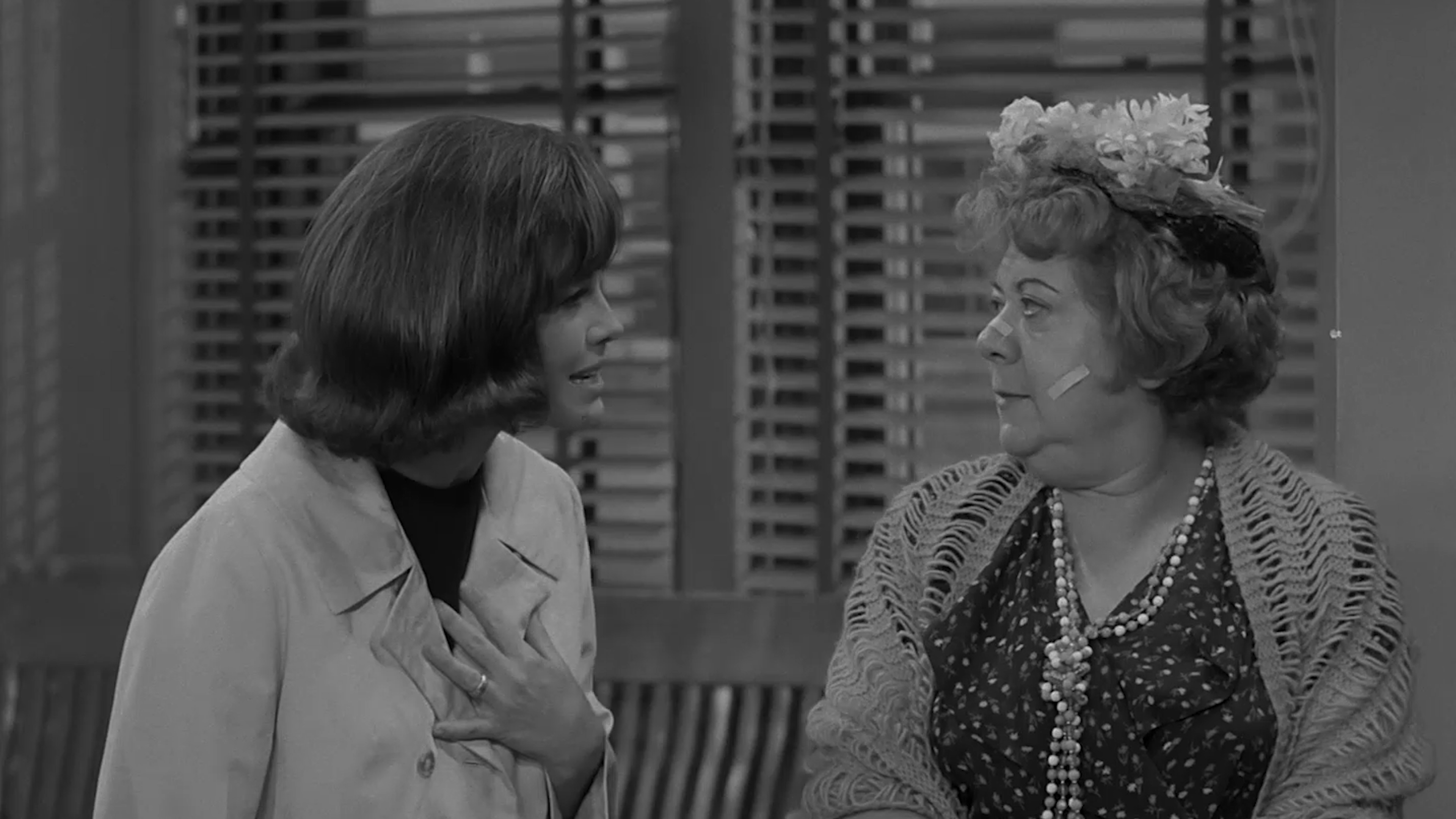 Remember the Alimony