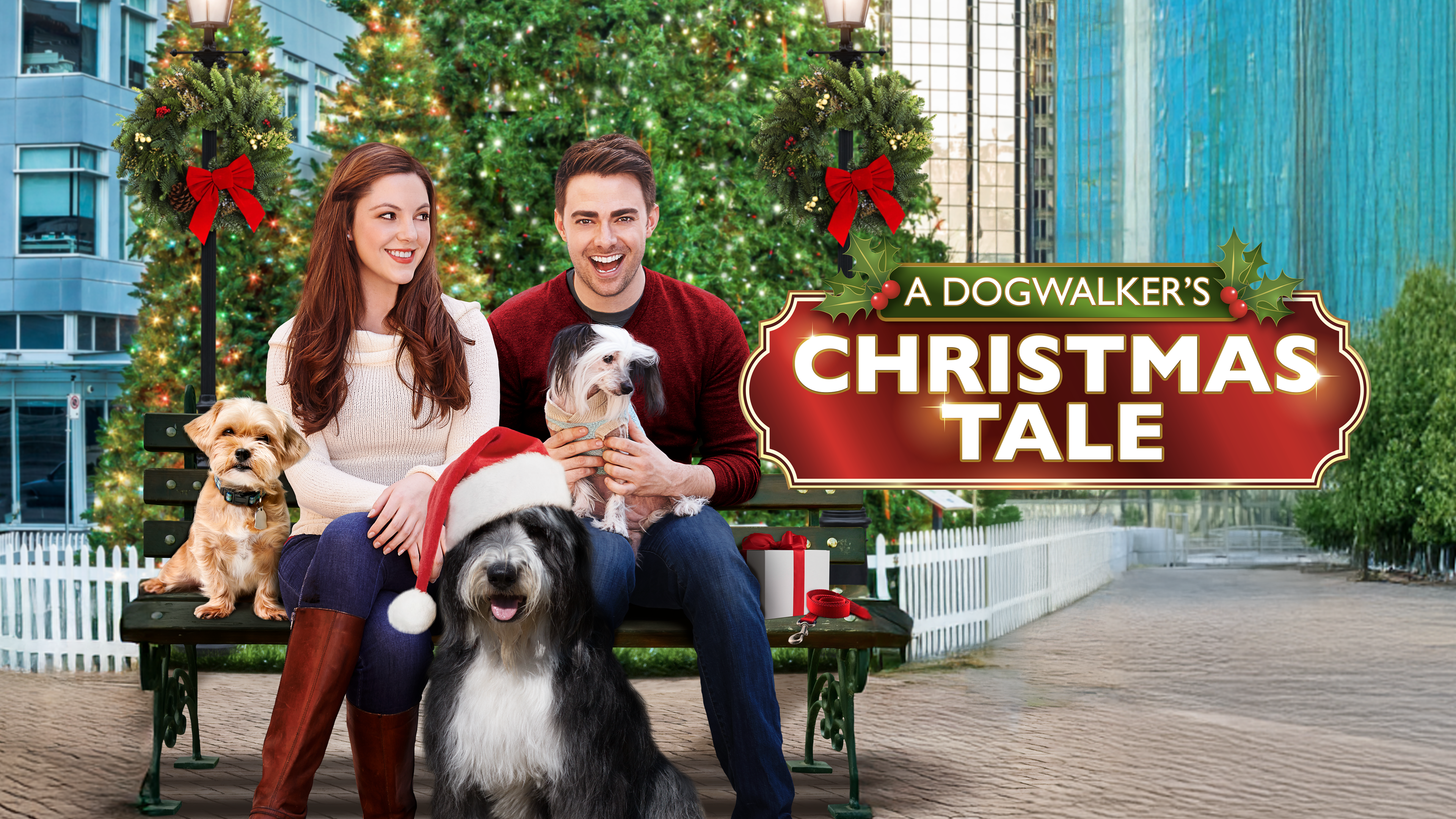 A Dogwalker's Christmas Tale