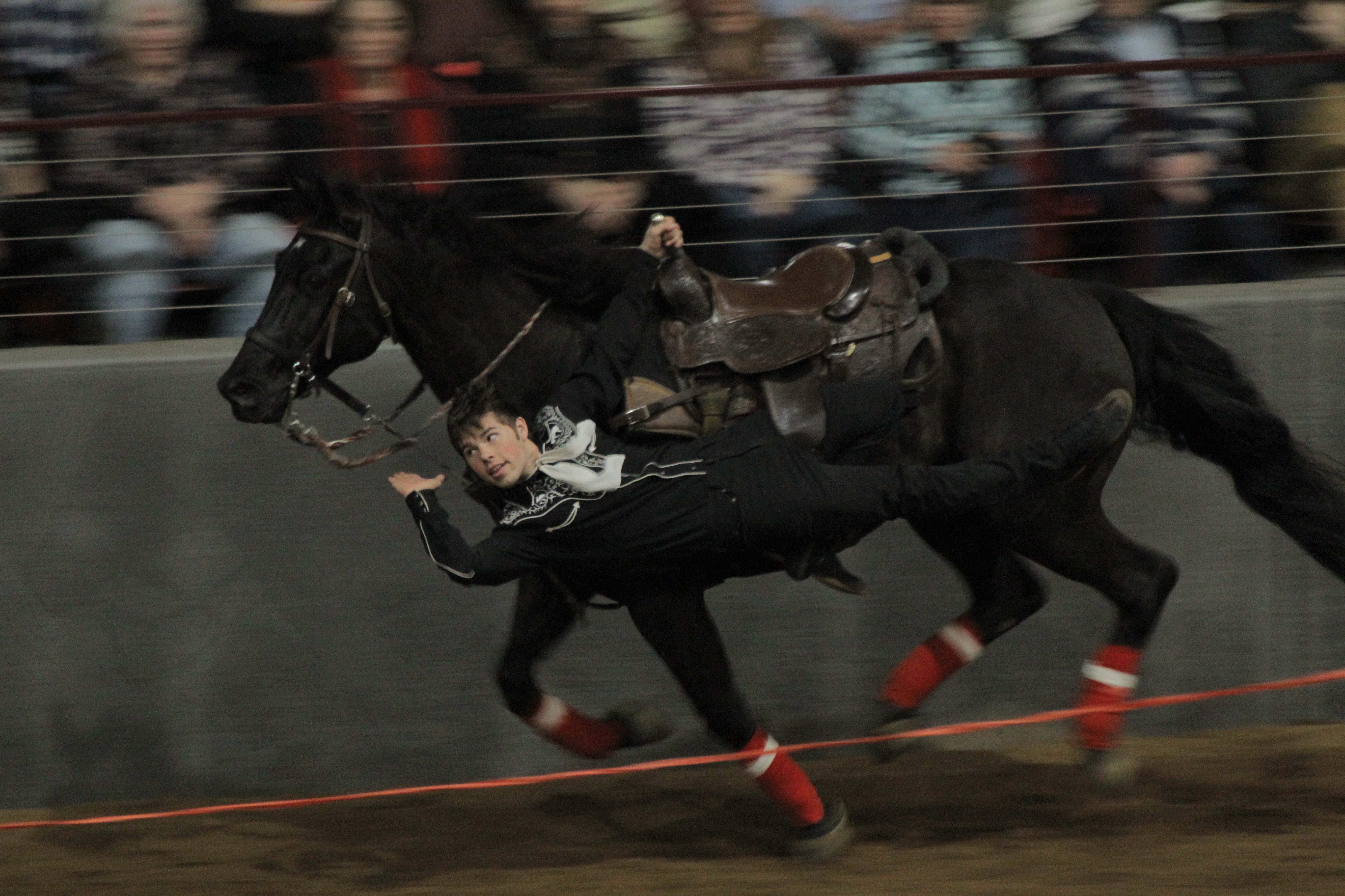 A Bundle of Joy and a Rodeo Show