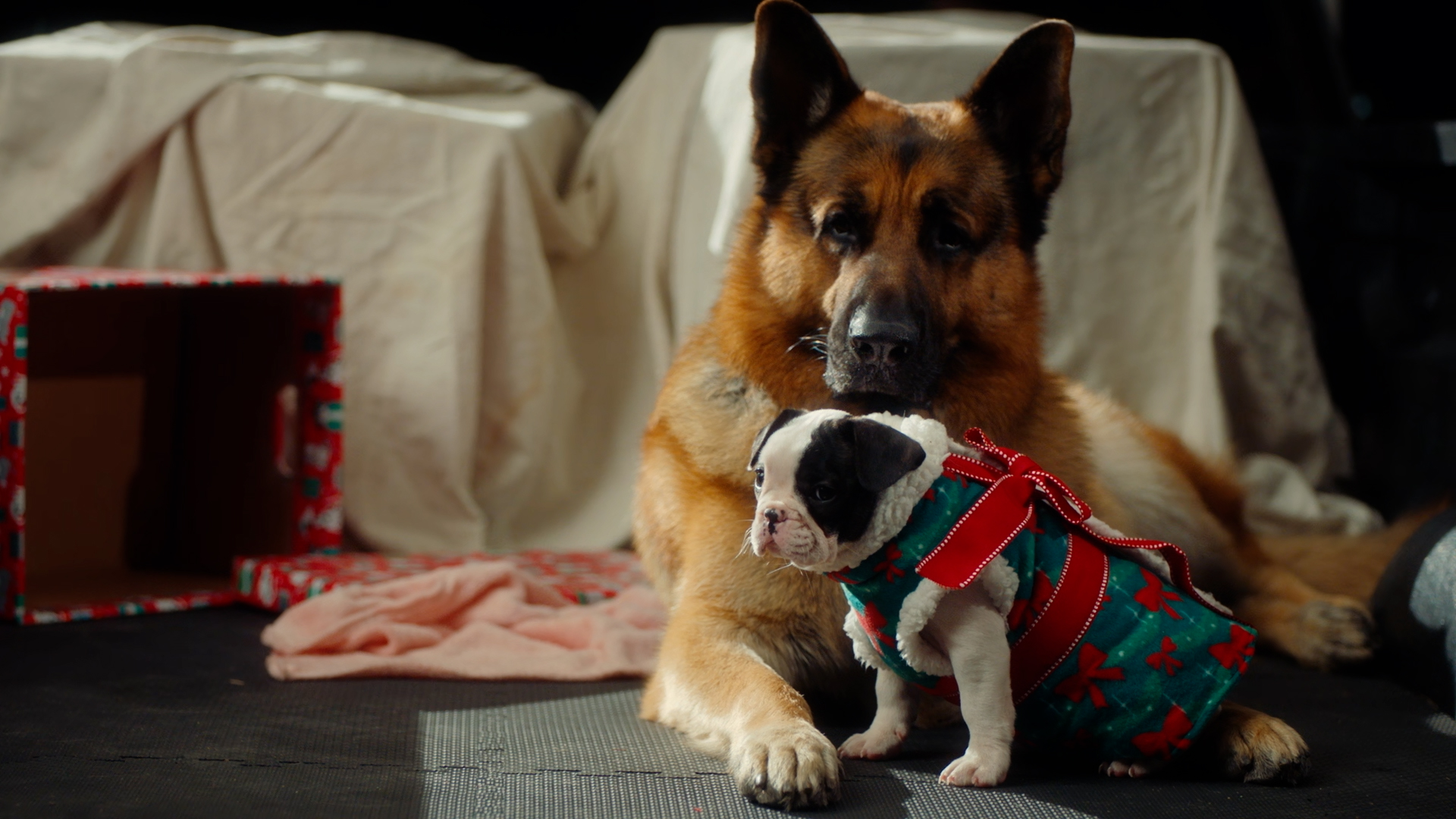 Season 8 Finale: 814 - Heist For The Holidays Part 2