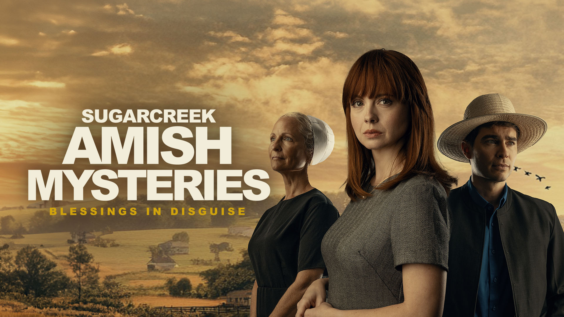 Sugarcreek Amish Mysteries: Blessings in Disguise