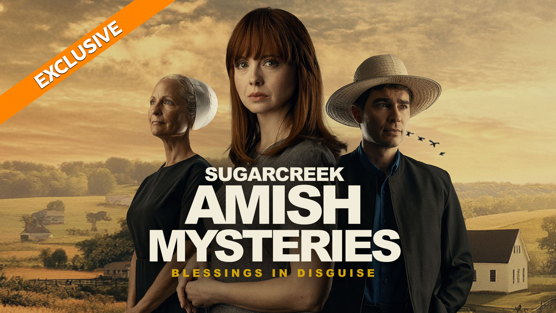 Sugarcreek Amish Mysteries: Blessings in Disguise