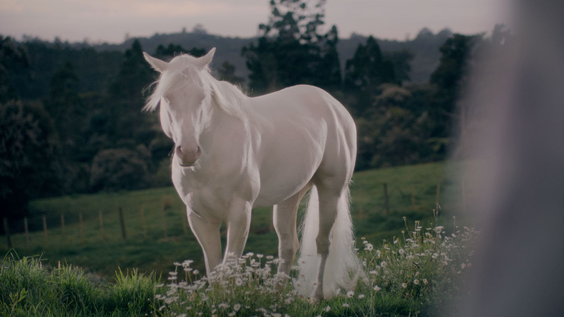 Series Premiere: 101 - The Outsider