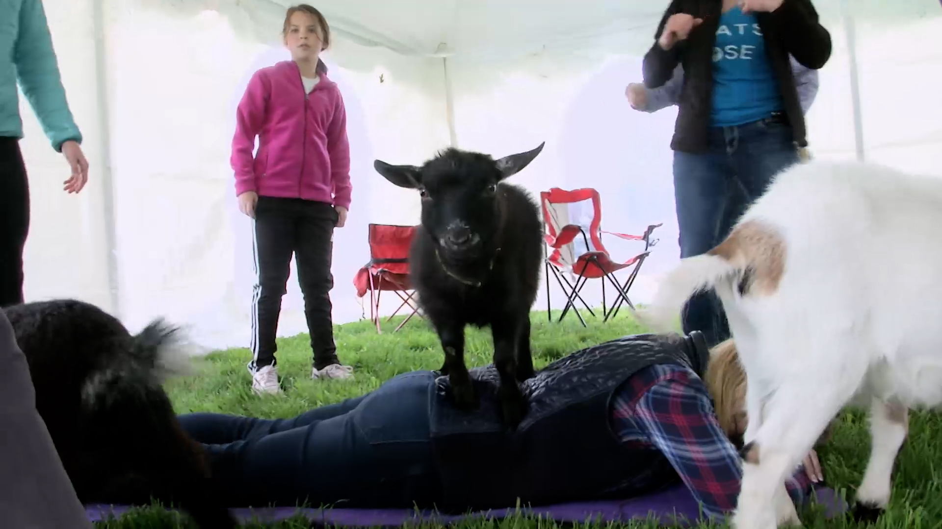 Small Town, Big Deal: 514