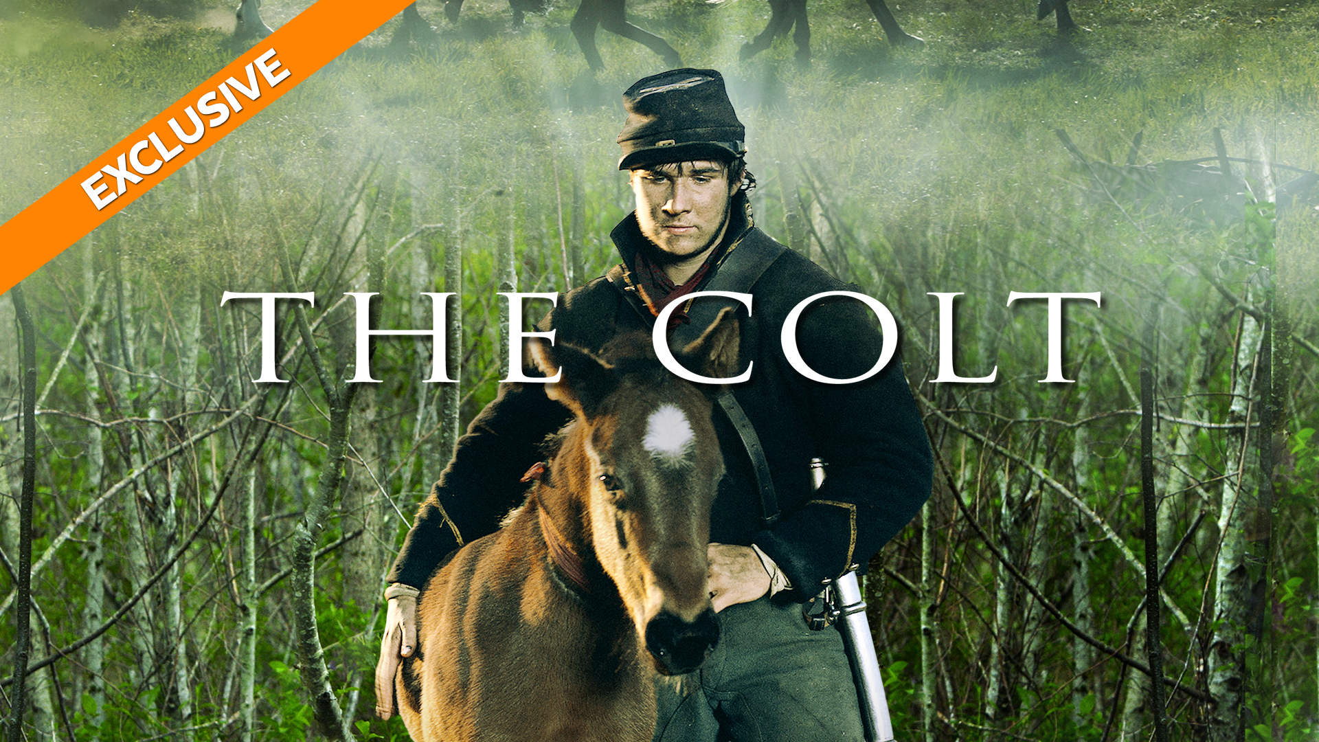The Colt