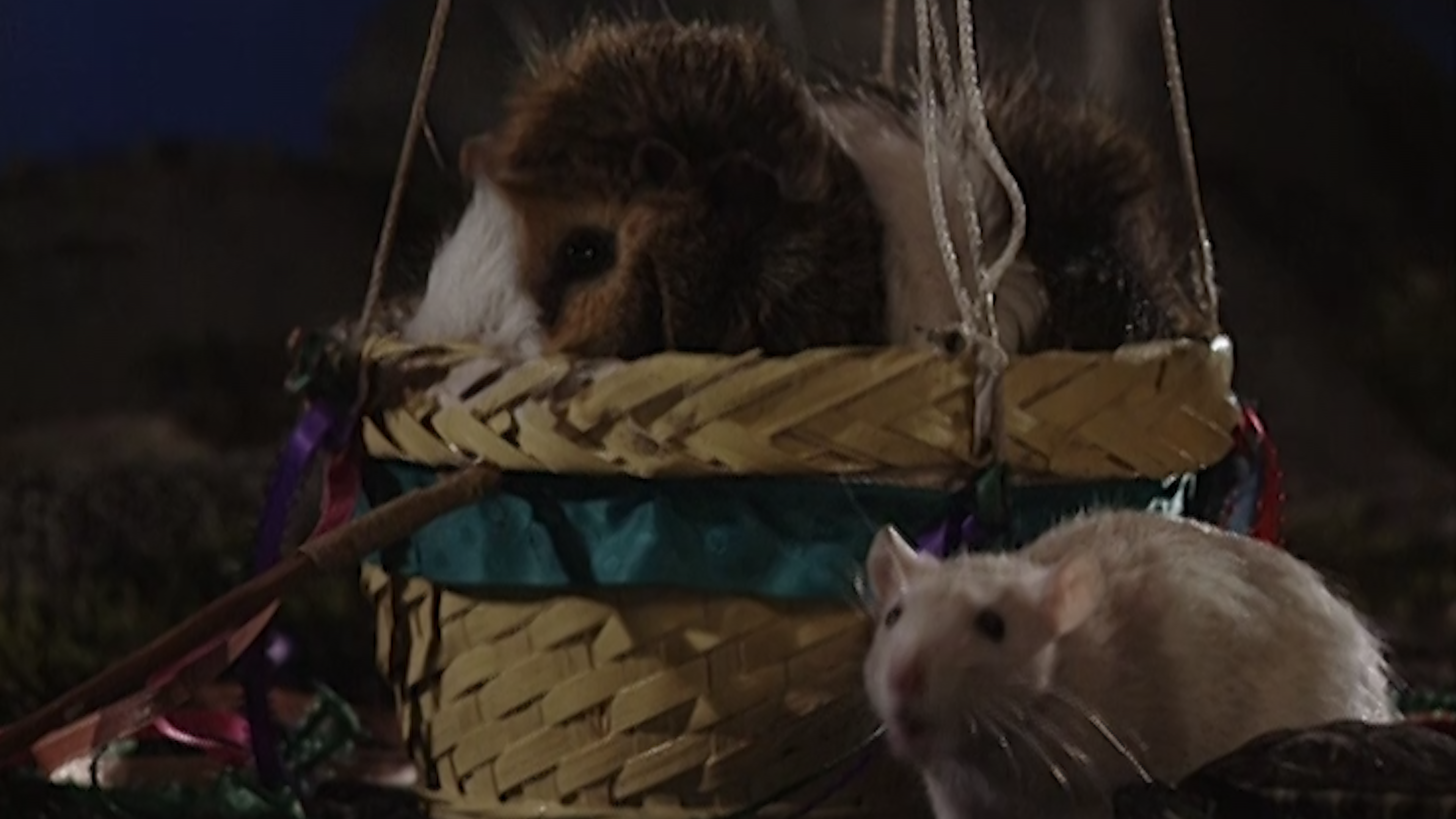 The Loneliness of Wind