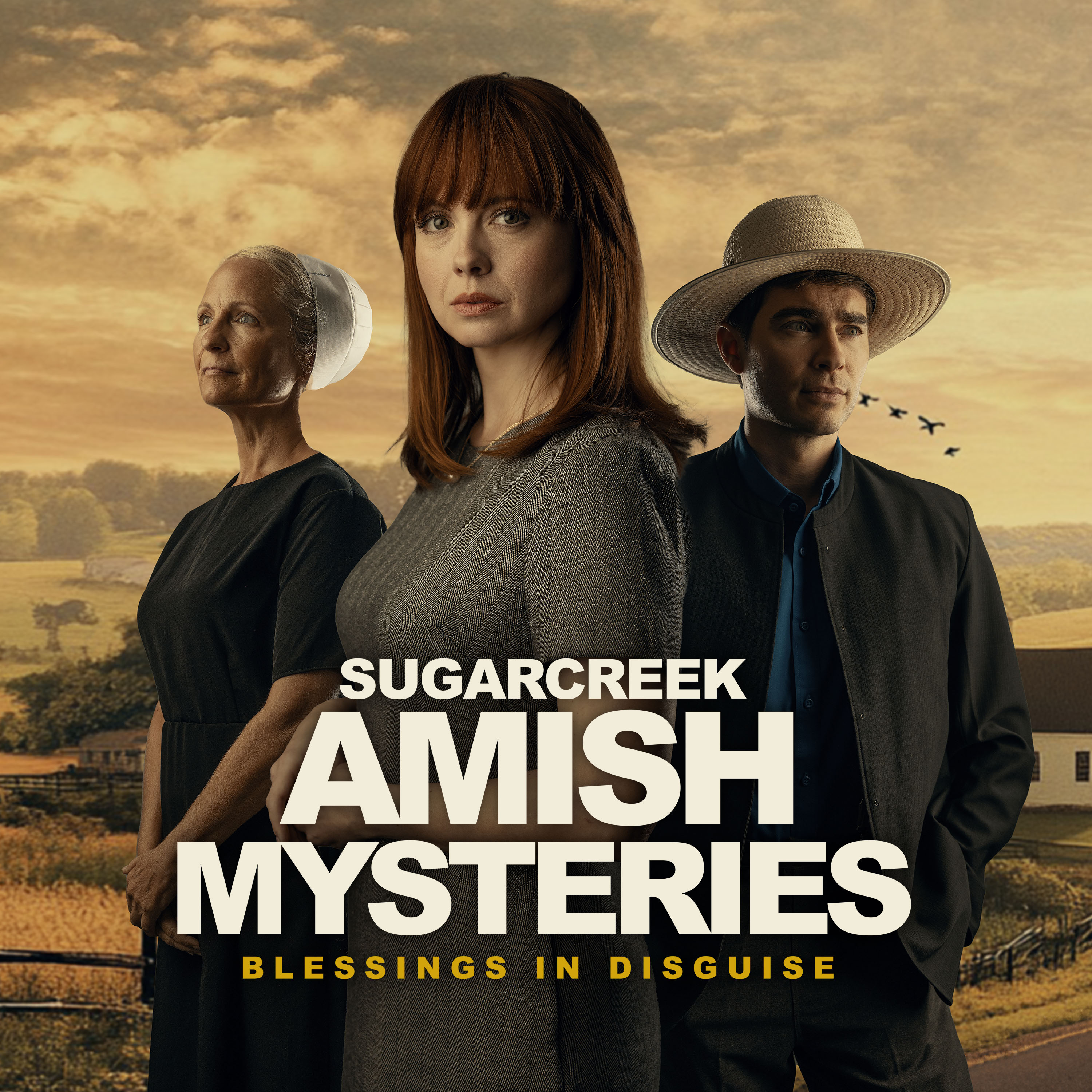 Sugarcreek Amish Mysteries: Blessings in Disguise