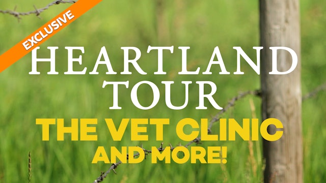 “On the Set” with Heartland’s Amber Marshall - The Vet Clinic