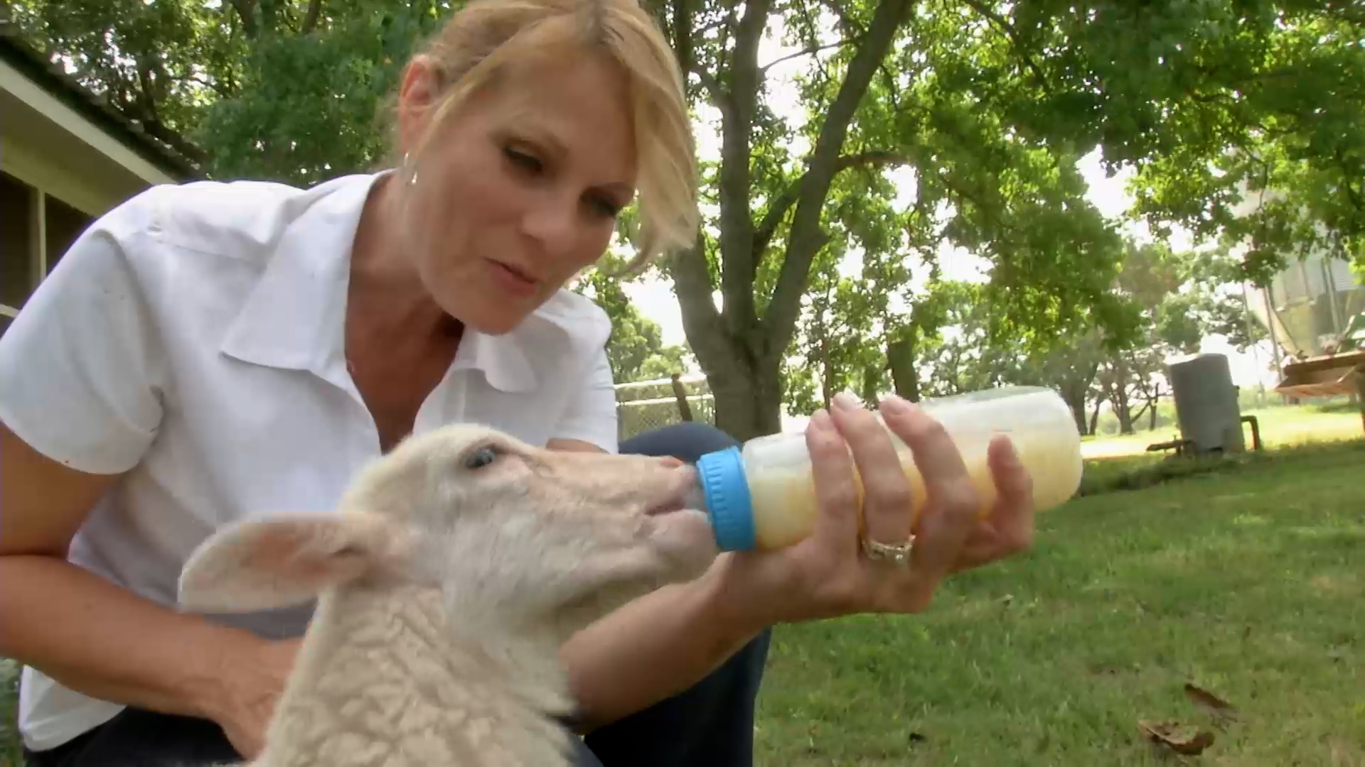 Small Town, Big Deal: 203