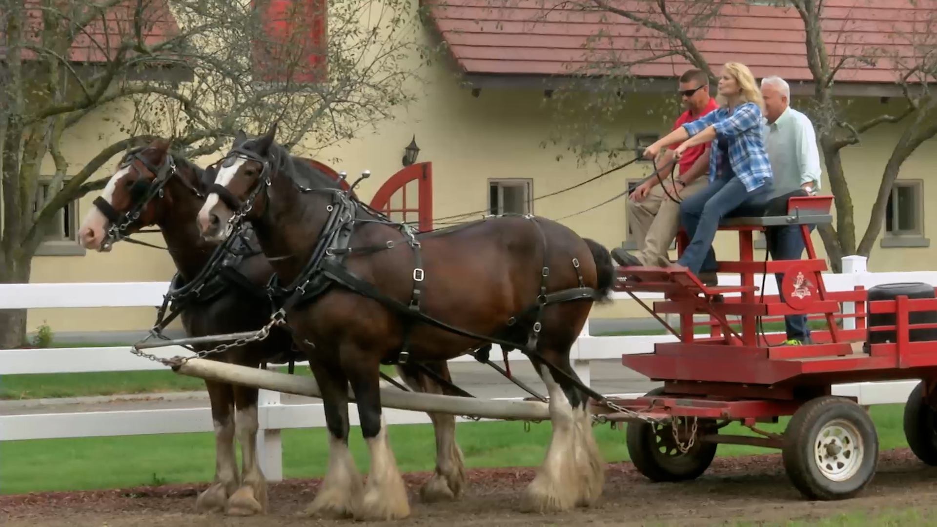 Small Town, Big Deal: 403