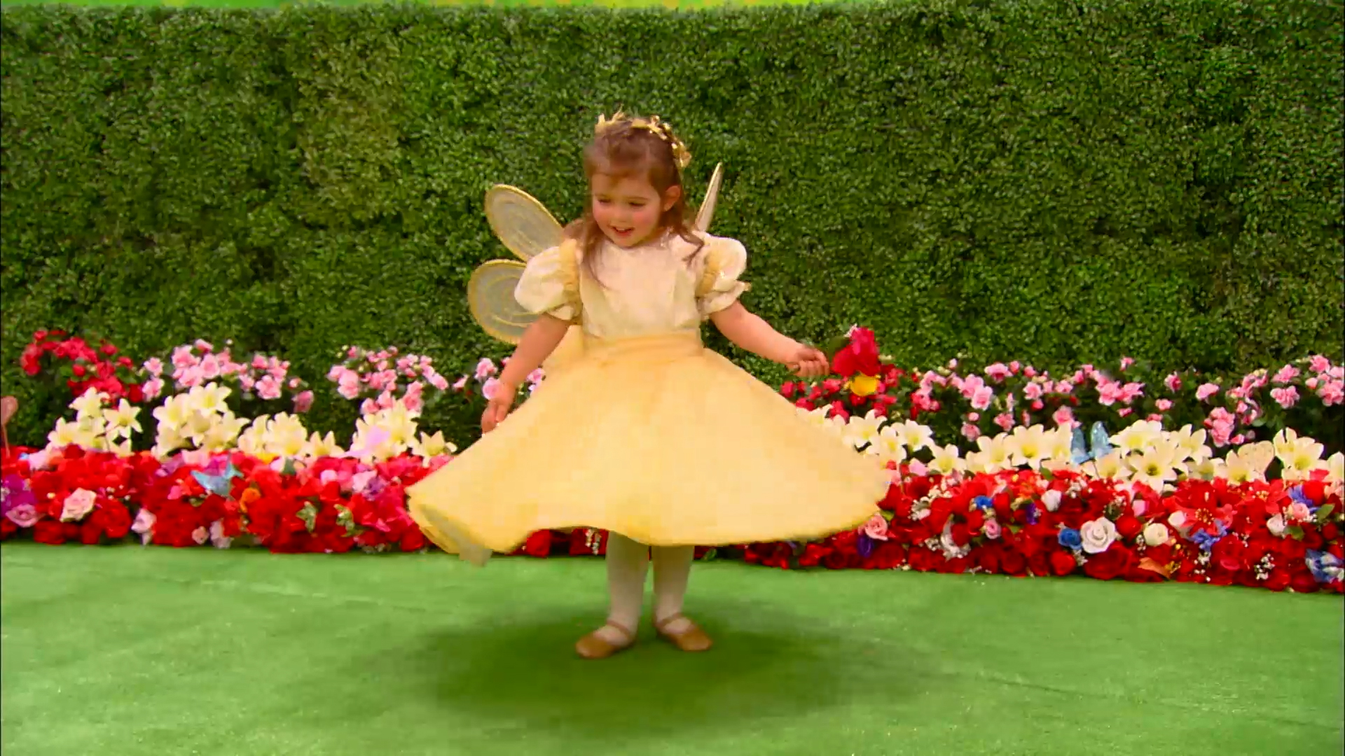 Fairies Dance the Waltz