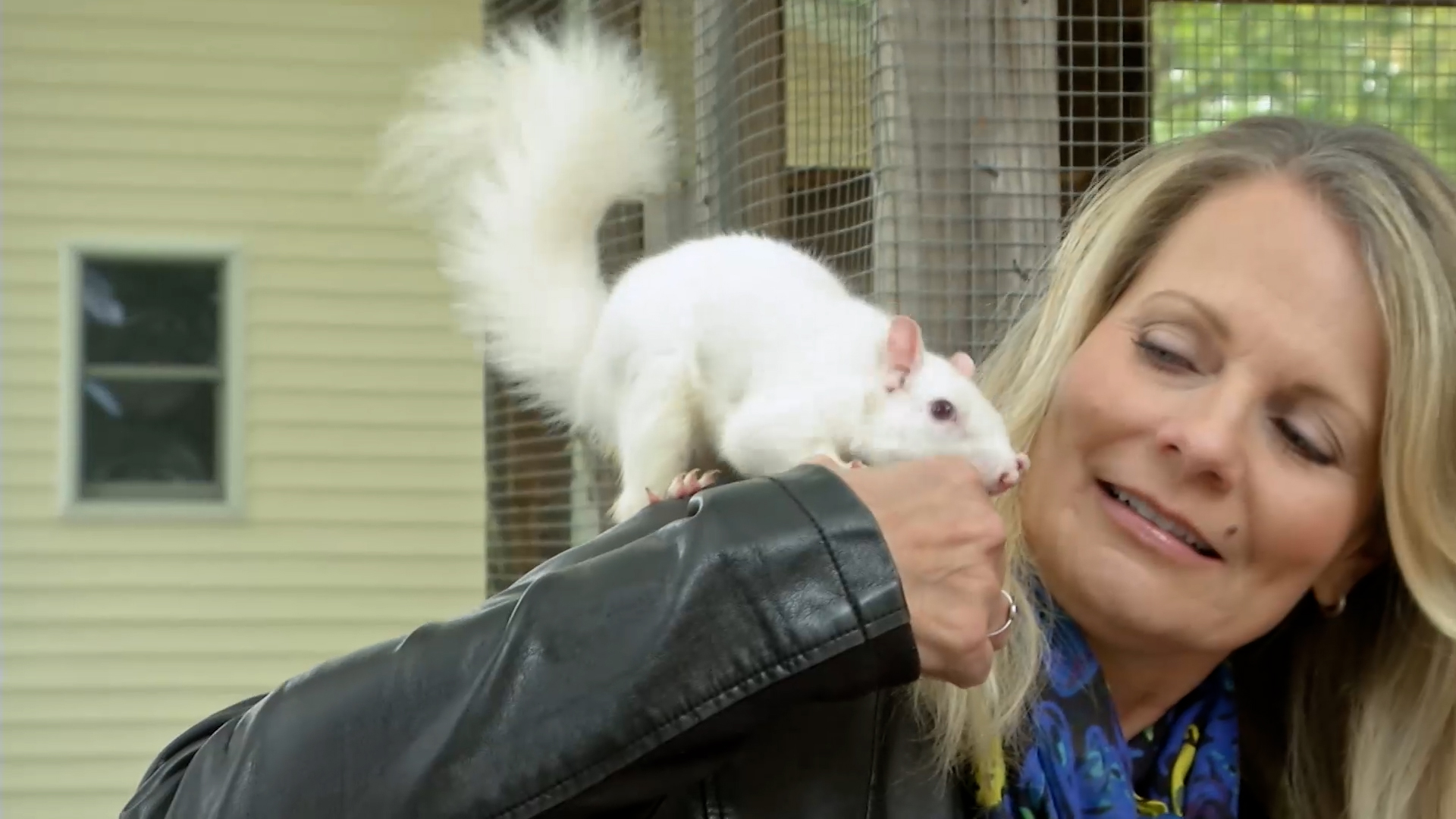 Small Town, Big Deal: 616