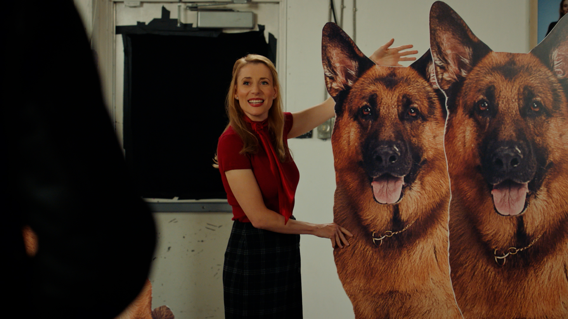 413 - Roses of Signal Hill