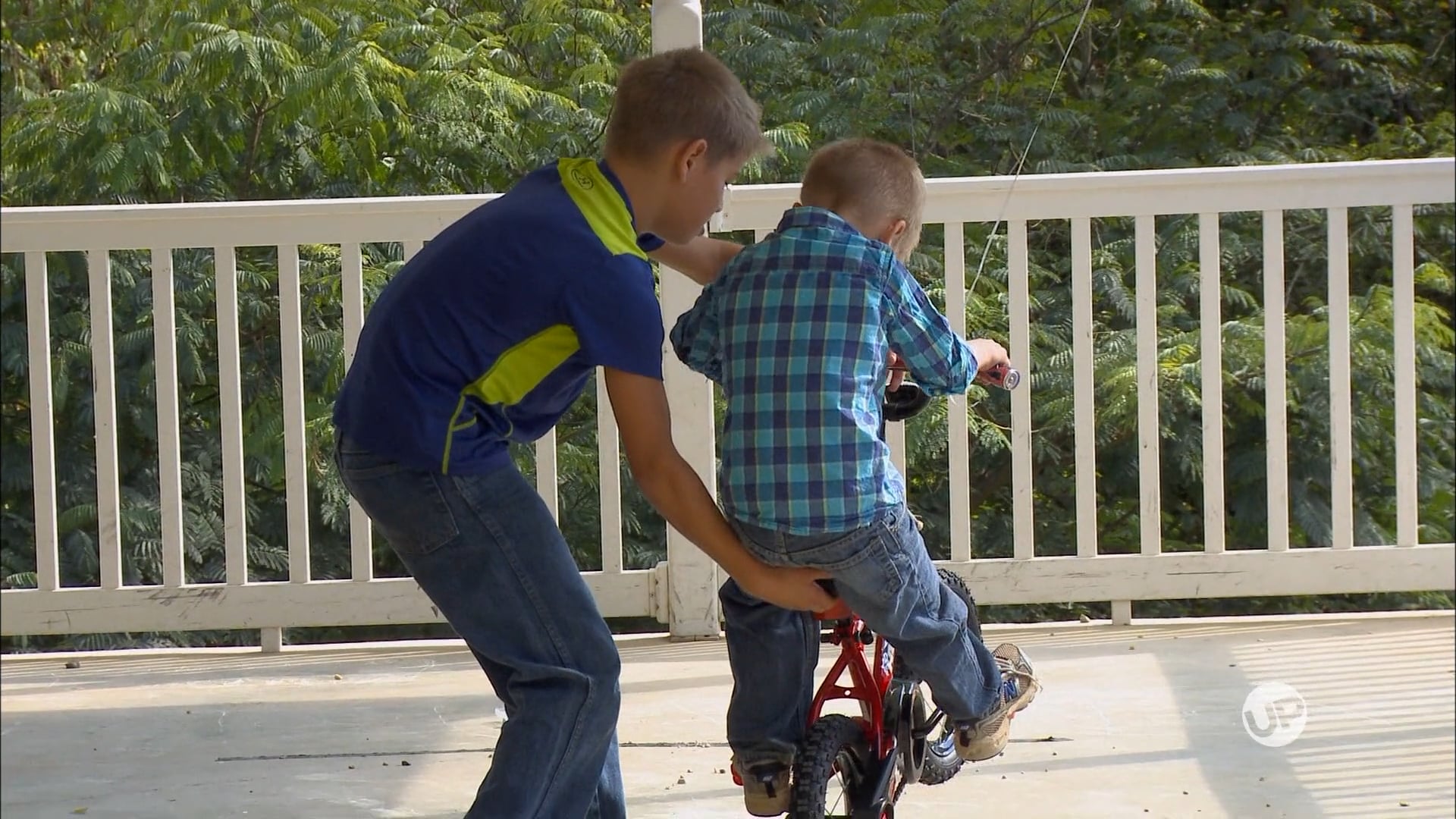 Training Wheels and Trick Saddles