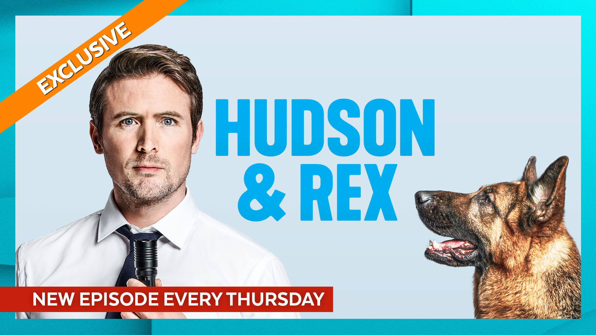 Hudson Et Rex Streaming