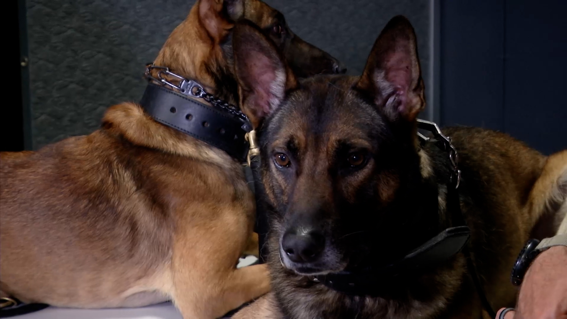 Small Town, Big Deal: 617