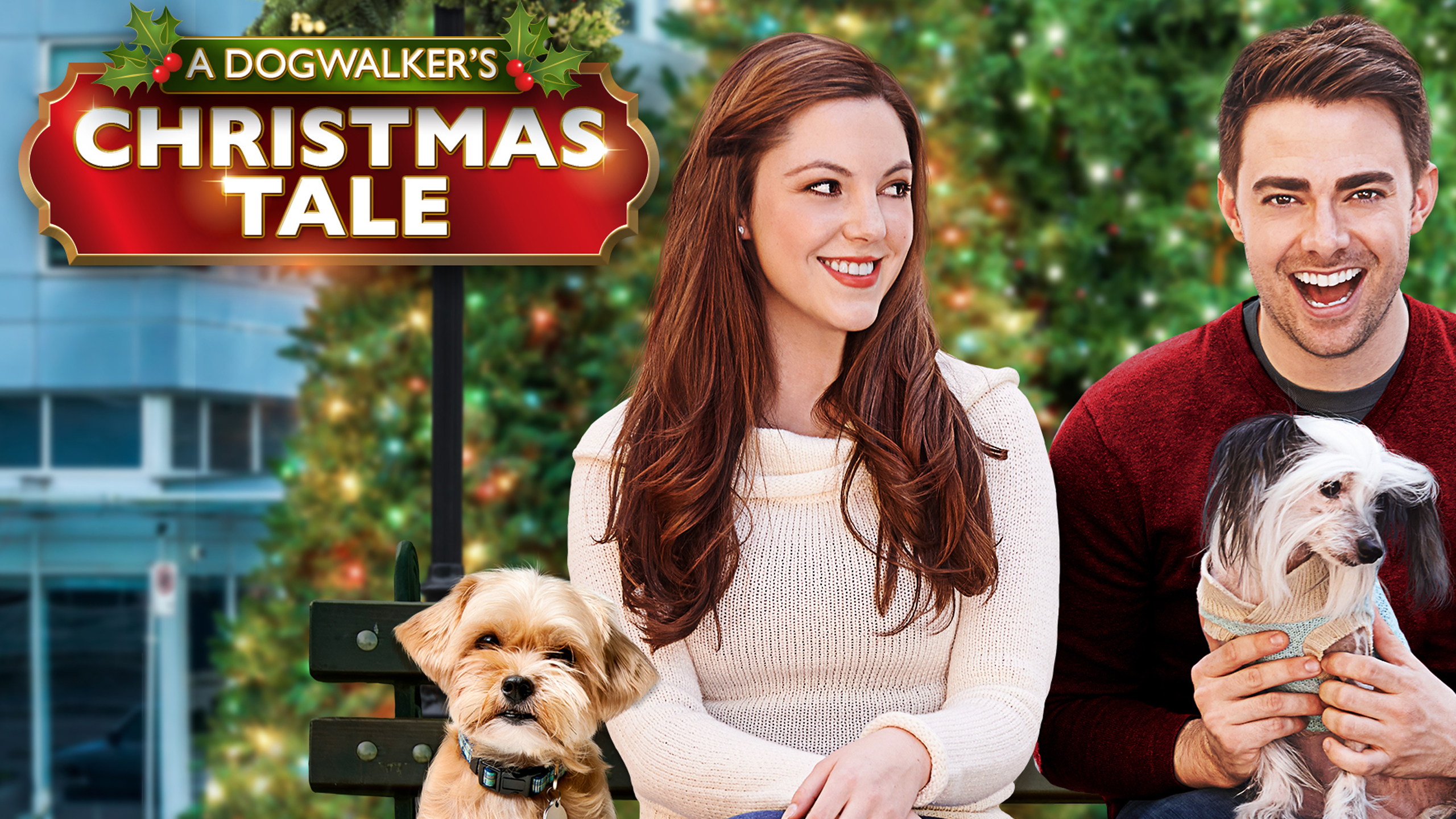 A Dogwalker's Christmas Tale