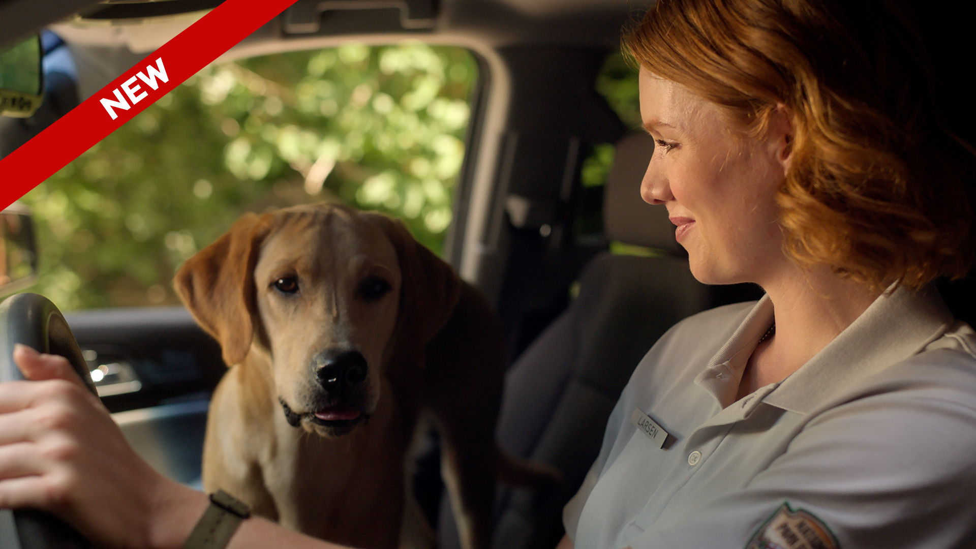 102 - Fugitive In The Wild