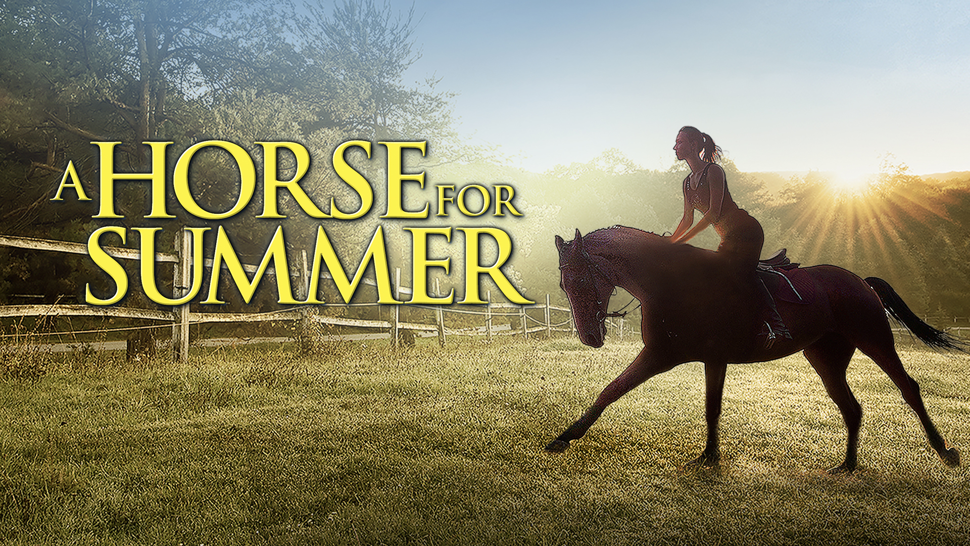 A Horse for Summer