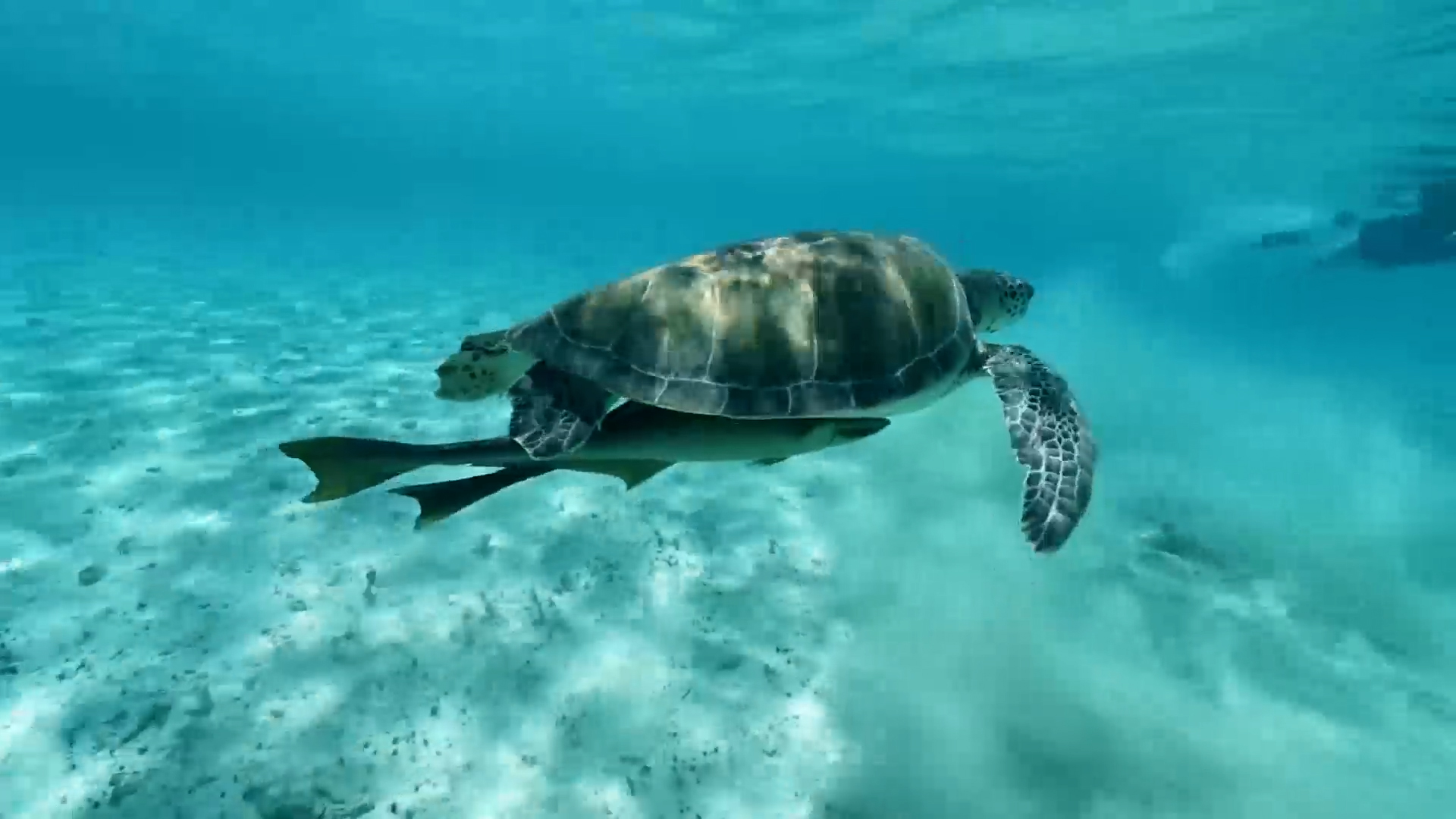 Modern Treasure Hunt