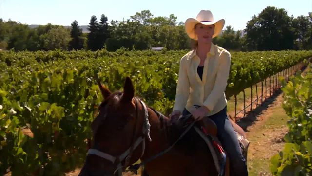 California Wine Country