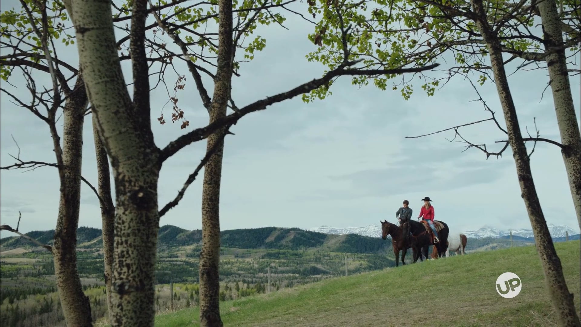 Picking Up The Pieces