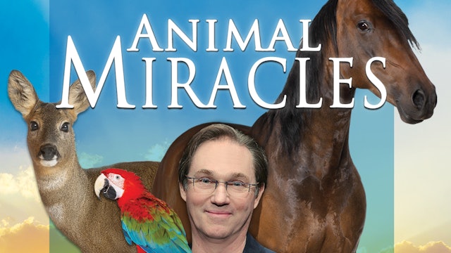 Animal Miracles