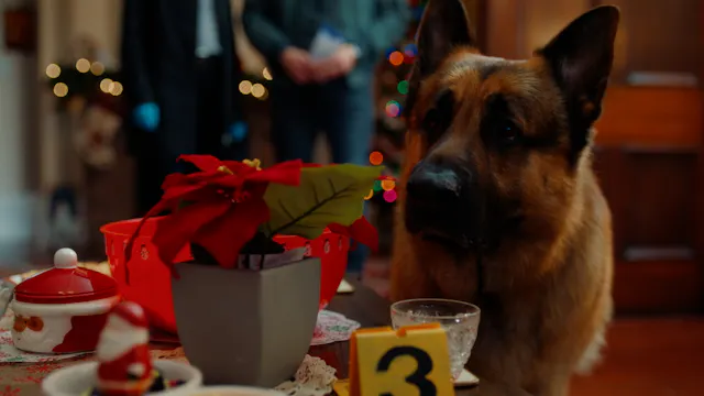 813 - Heist For The Holidays Part 1