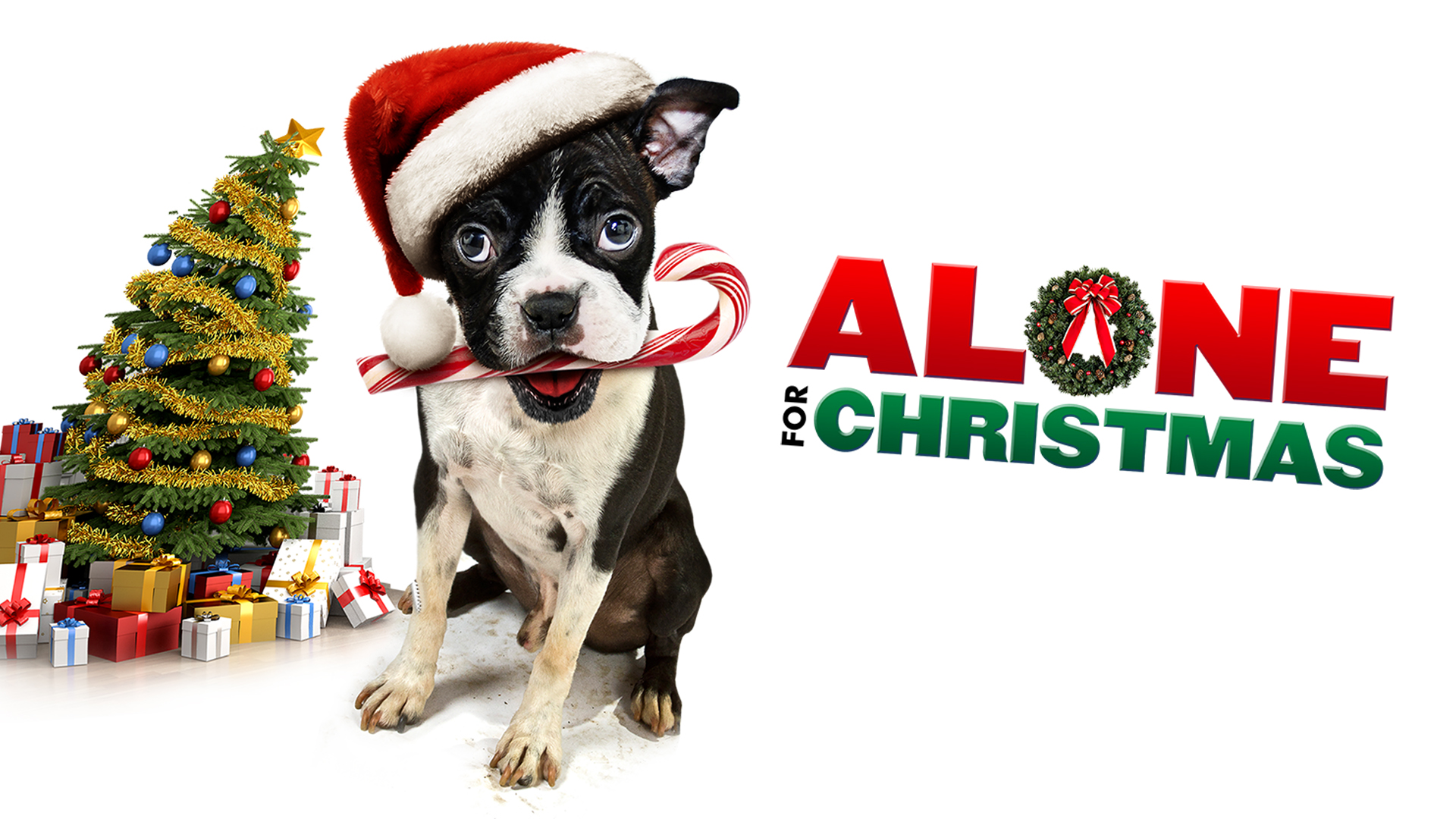 Alone for Christmas UP Faith and Family