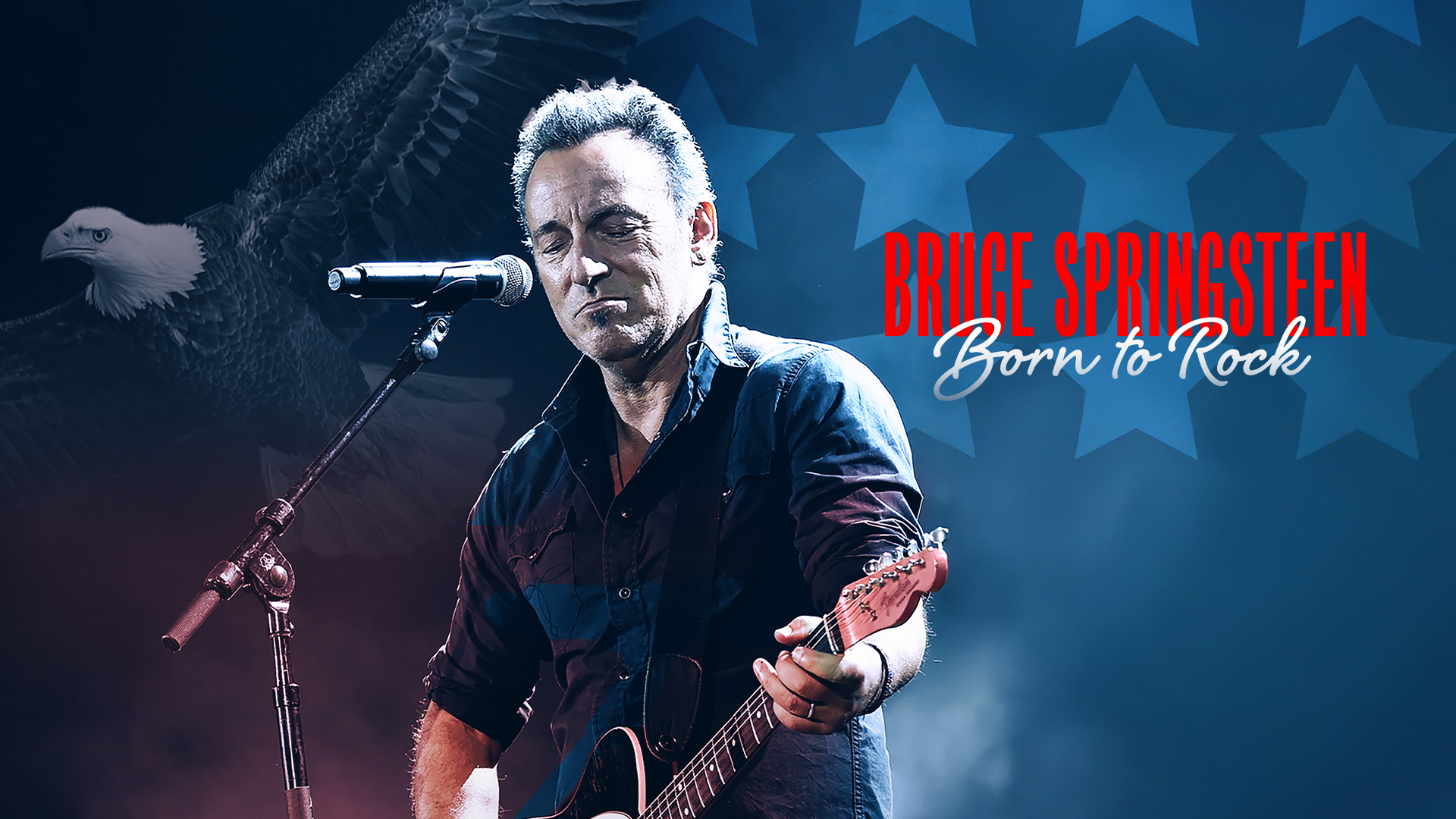 Bruce Springsteen: Born to Rock