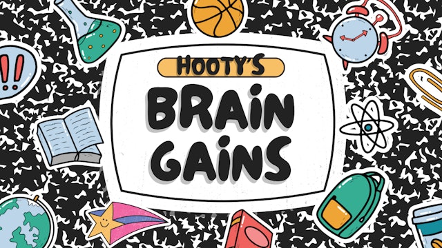 Hooty's Brain Gains